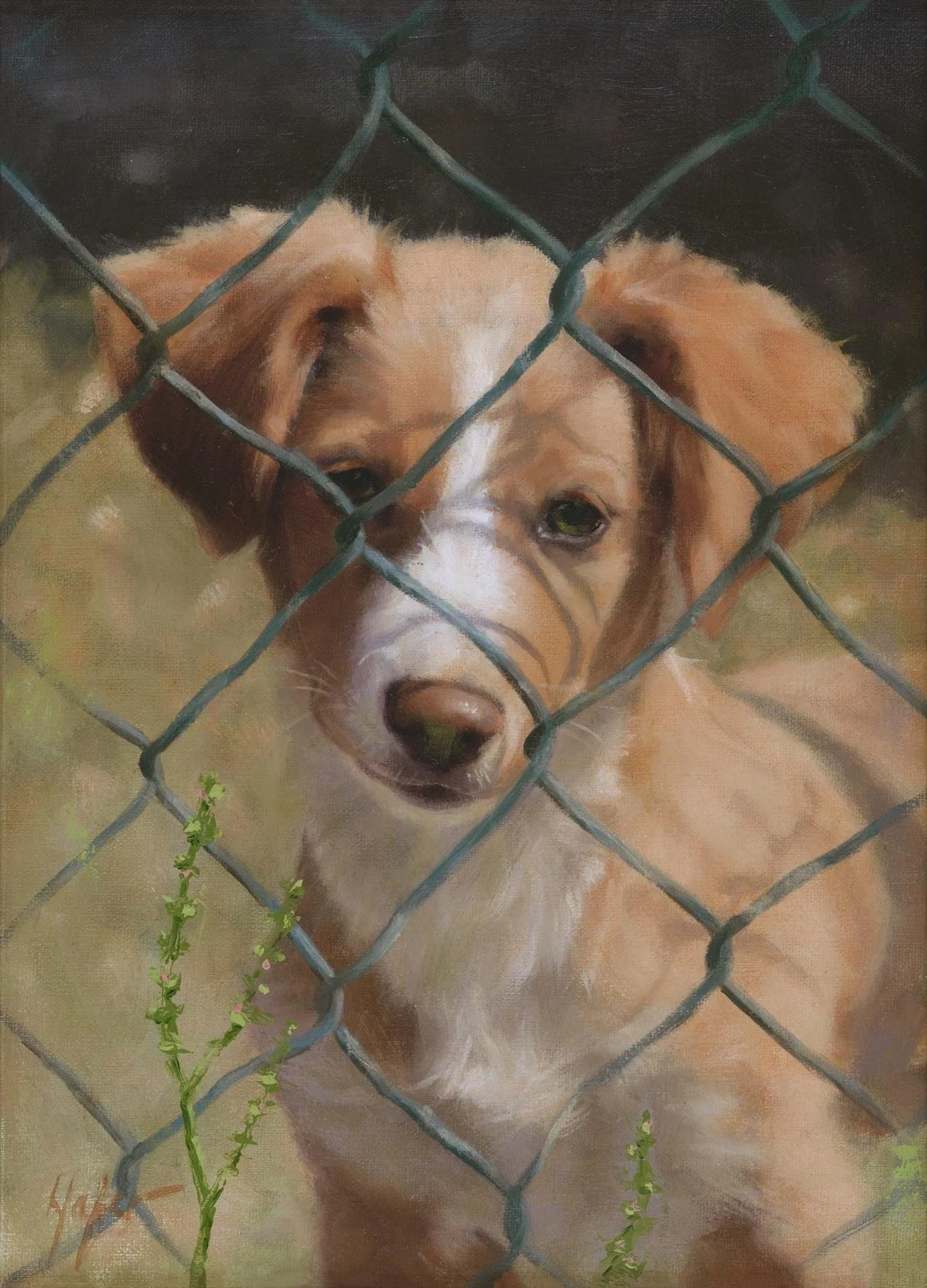 Catherine Hafer, The Grass is Always Greener