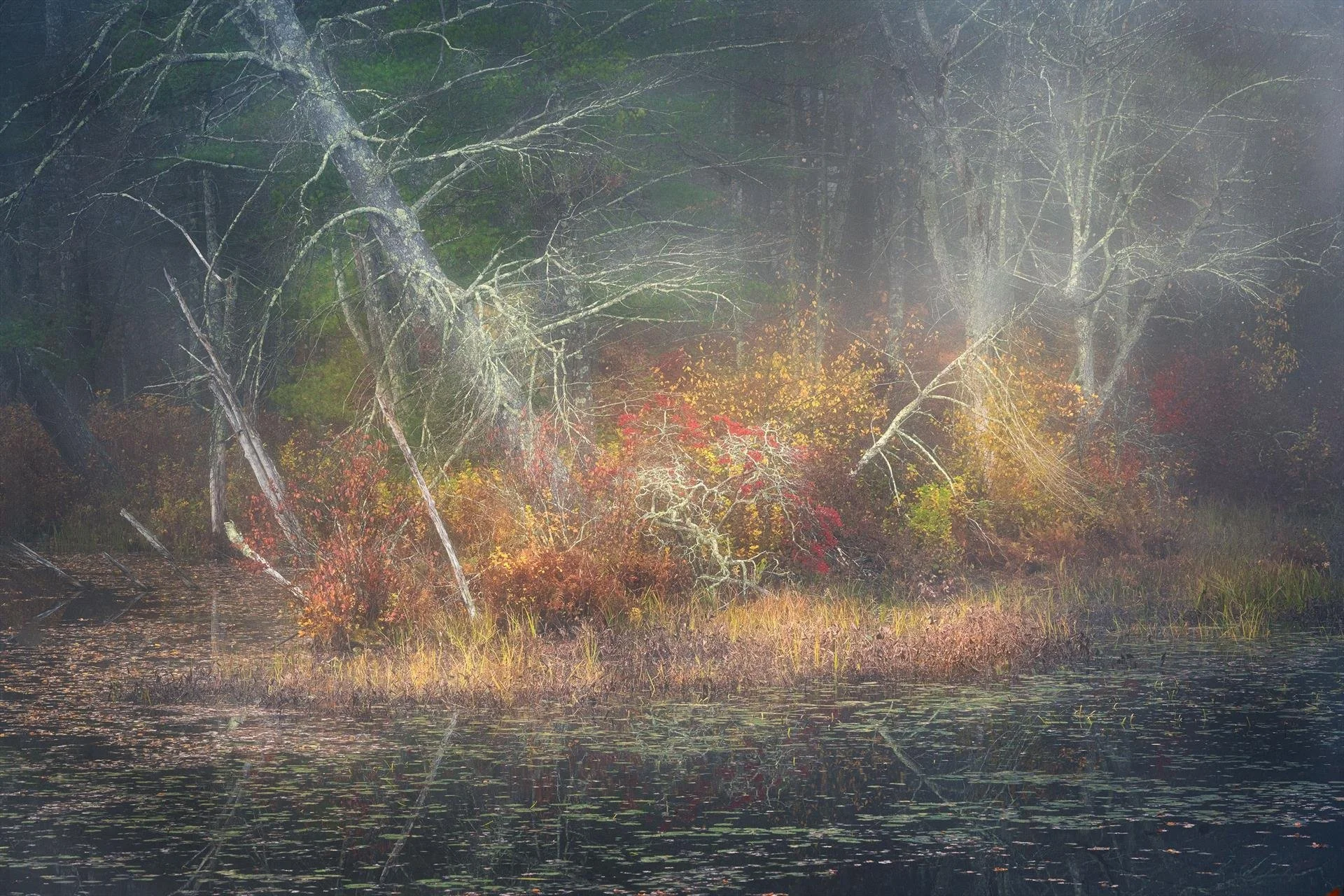 Dimitry Papkov, Impressions of Autumn