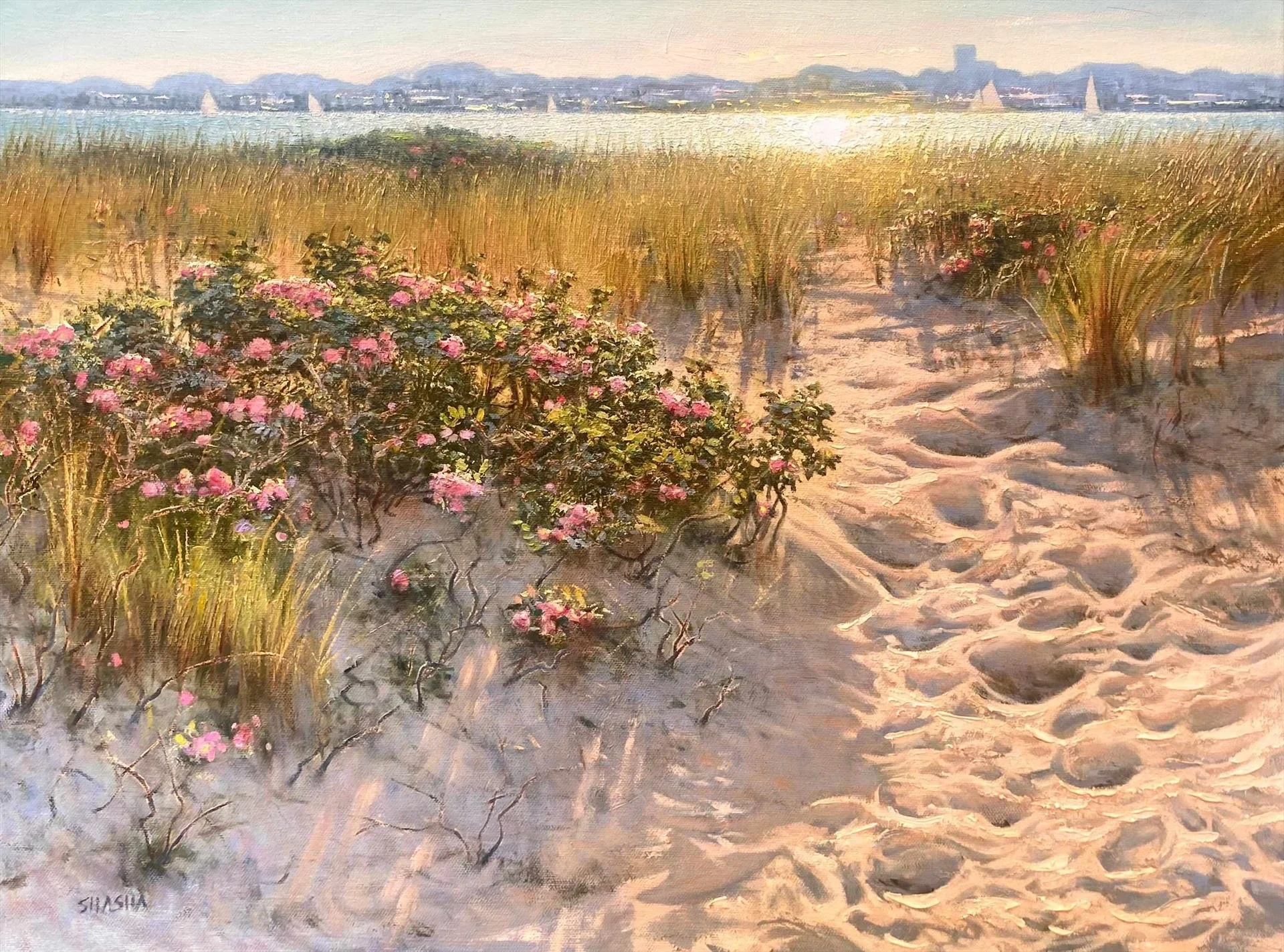 Mark Shasha, Season's Promise