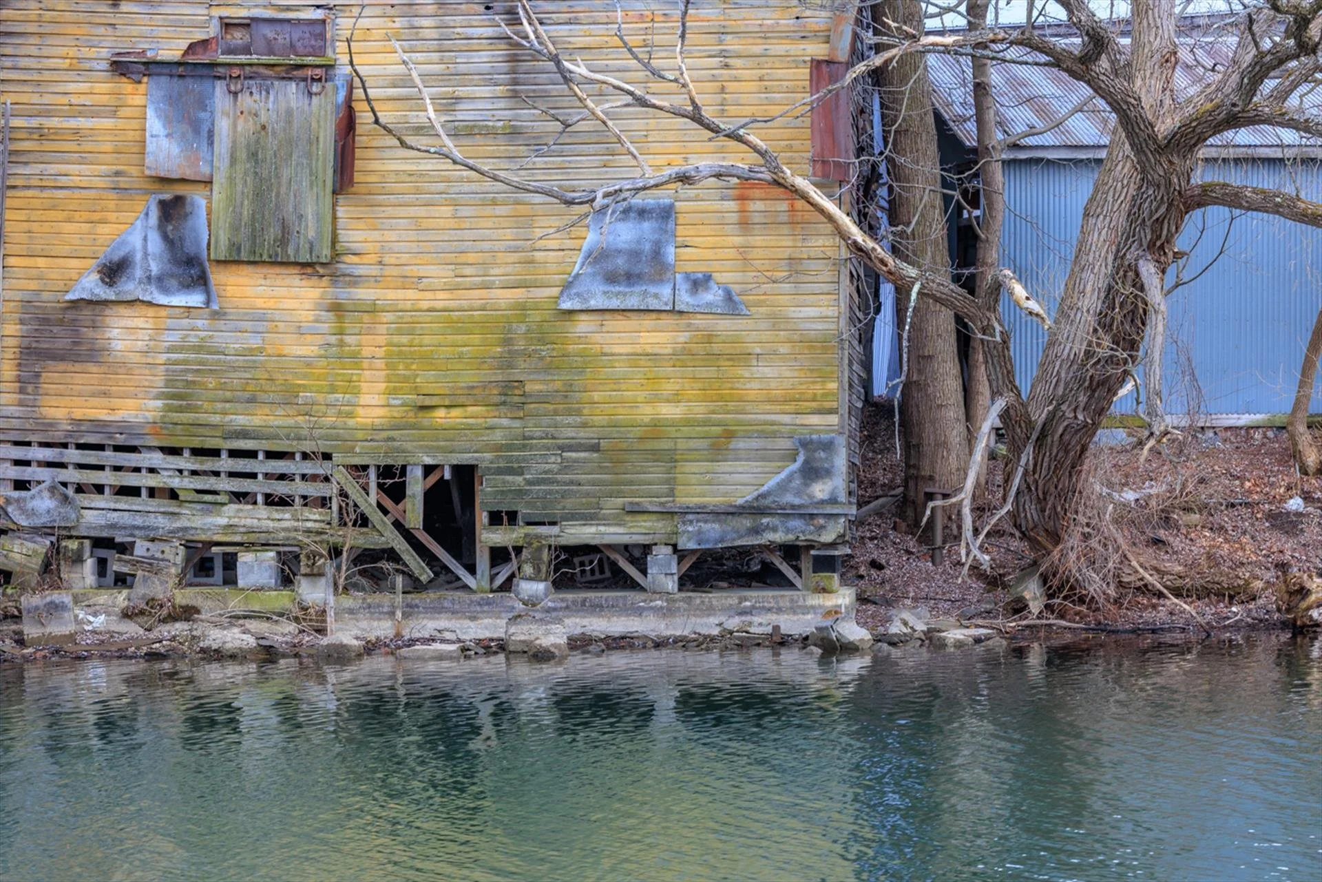 Gail Jenner, Along the River Bank