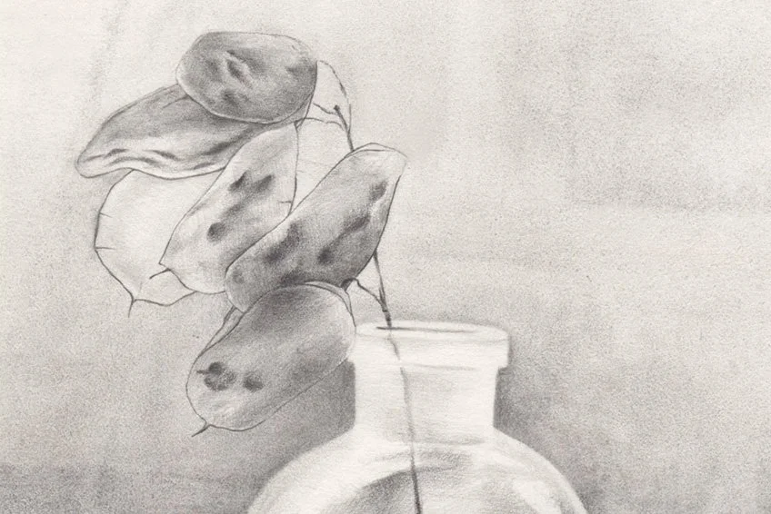 Magic Tricks: Using Shading to Capture Volume, Depth &amp; Texture – ONLINE Workshop with Erica Beade