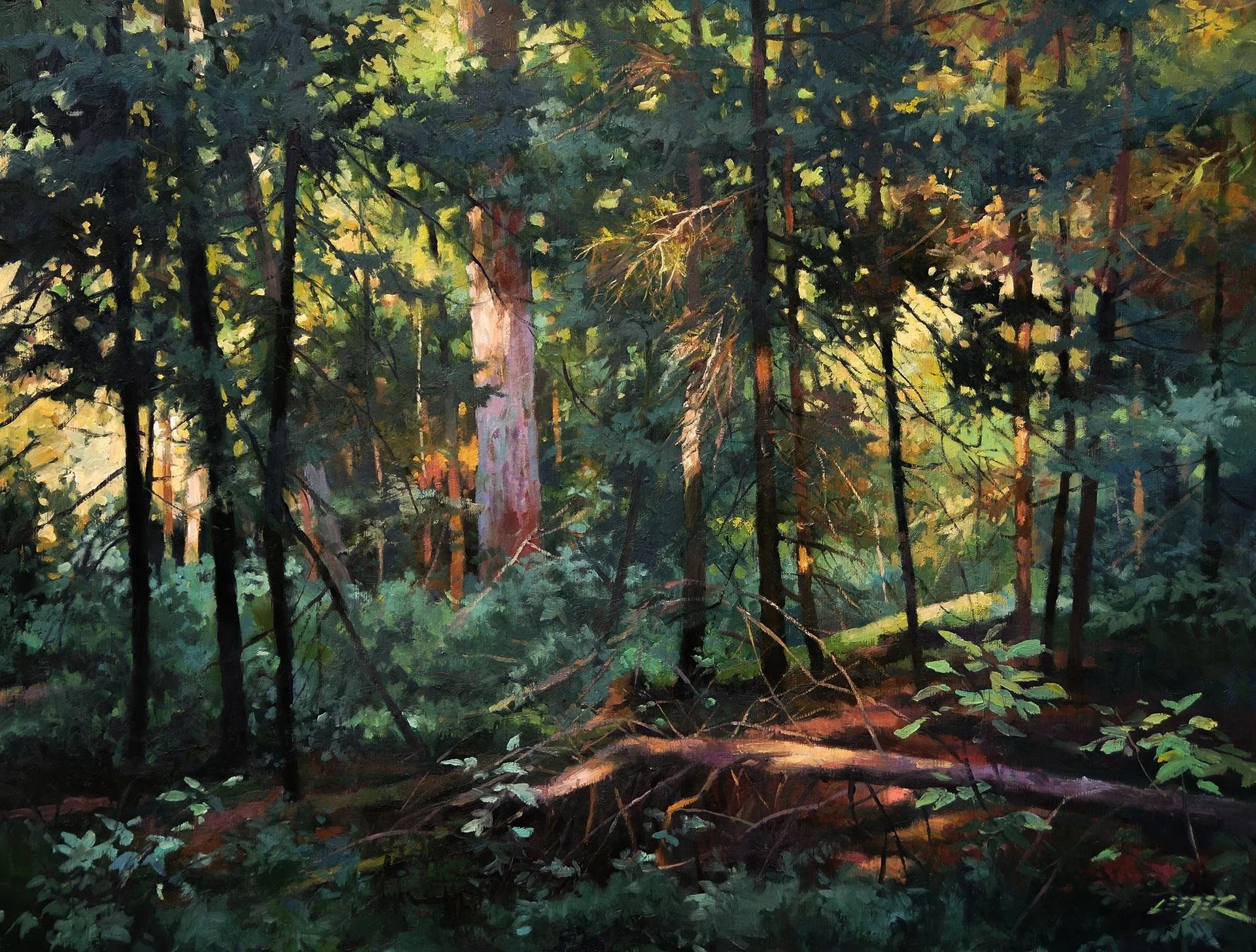 Christopher Leeper, The Finest Light