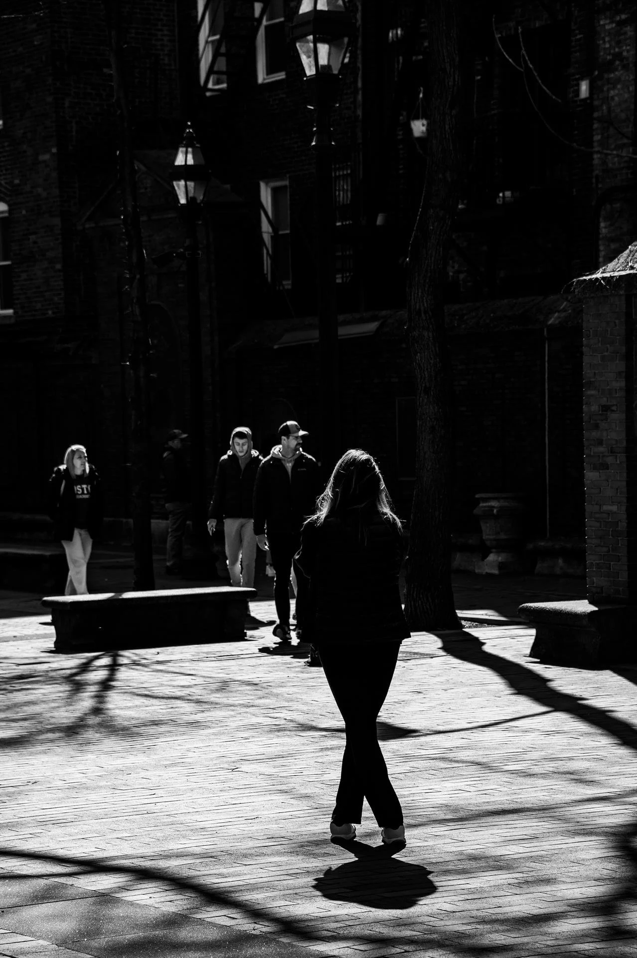 Stephen Delaney, Shadows in the Park