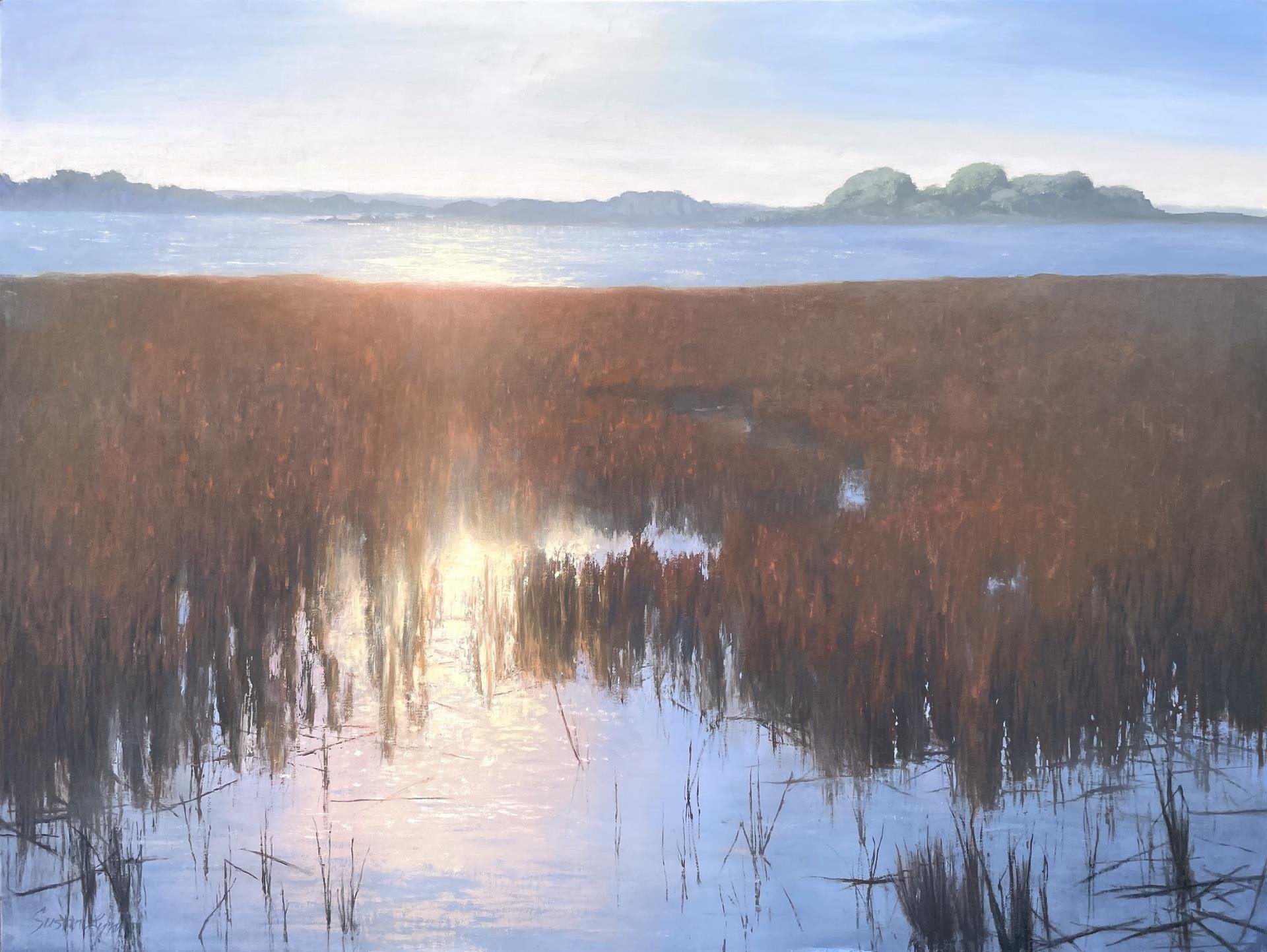 Susan Lynn, Shine