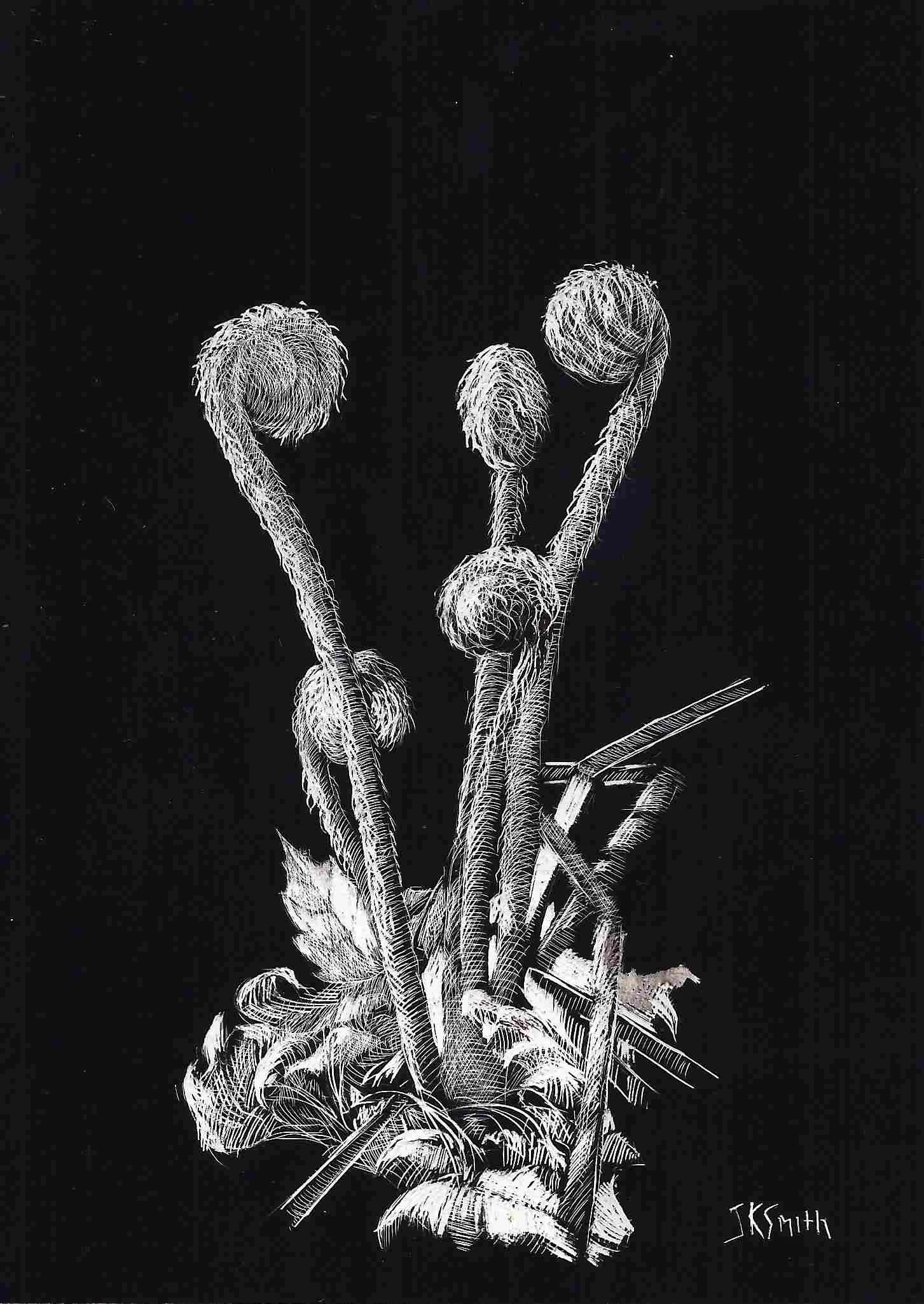 s'26-JSmith_Fiddleheads.jpg