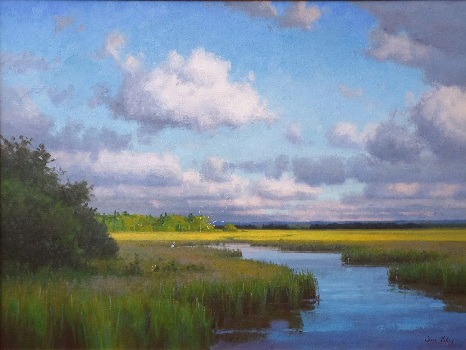 Sam Vokey - Marsh Skies.jpg