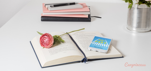 Will It Fly: Reading Report and Review ⢠Book Review