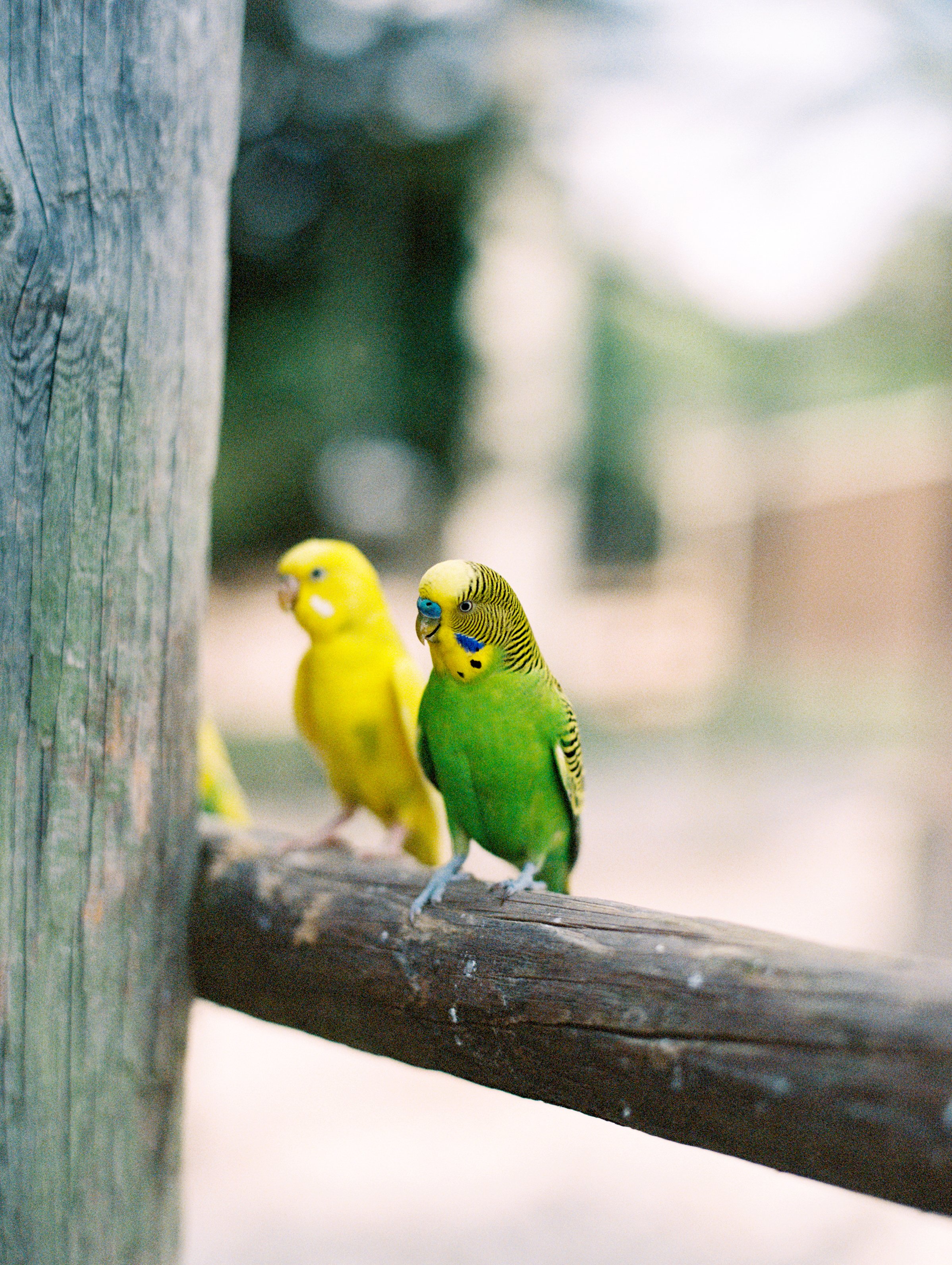 How to hook up with a supervisor that gets you.