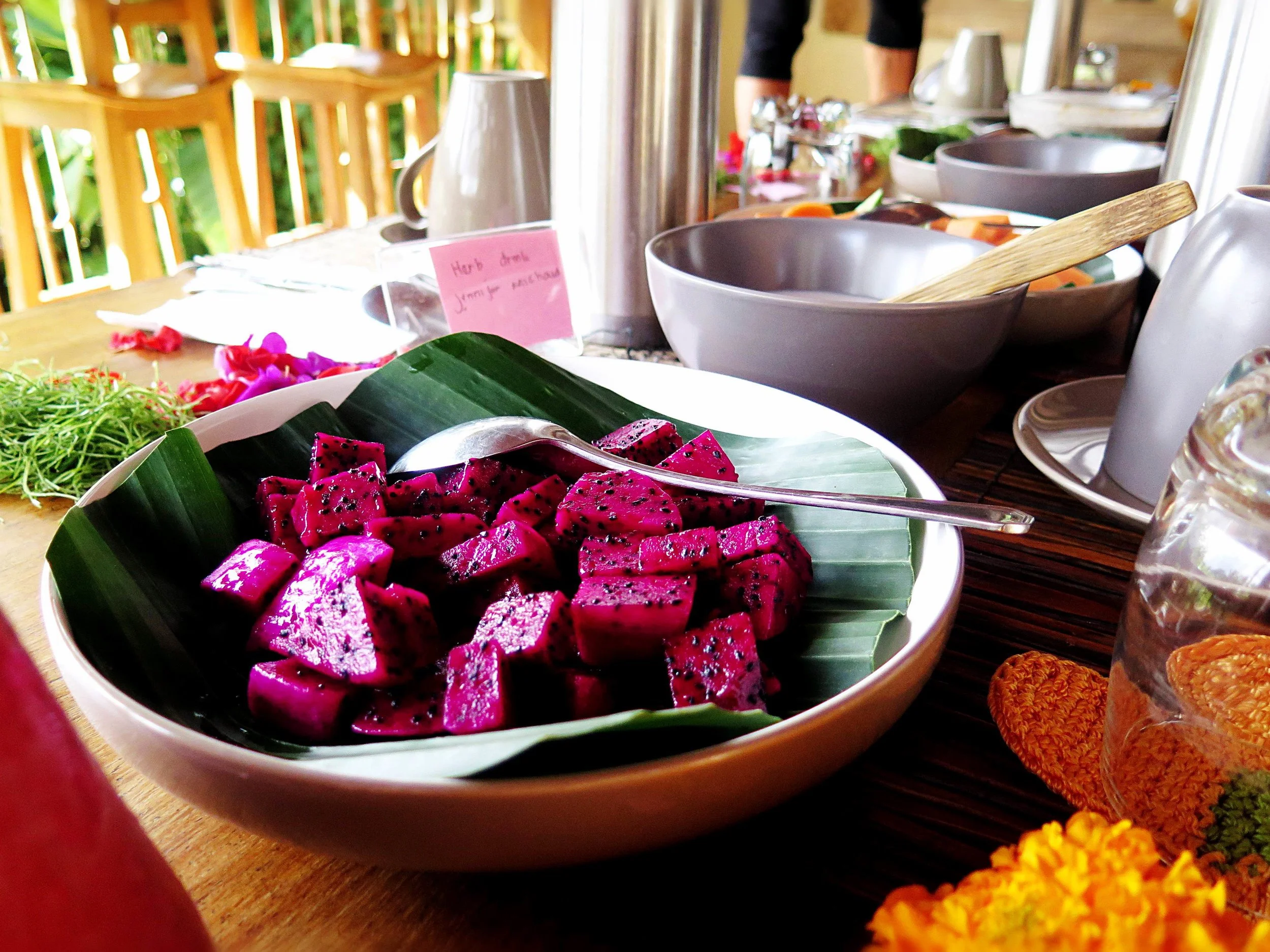 Dragon Fruit coconut yogurt Gaia Retreat Center.jpg
