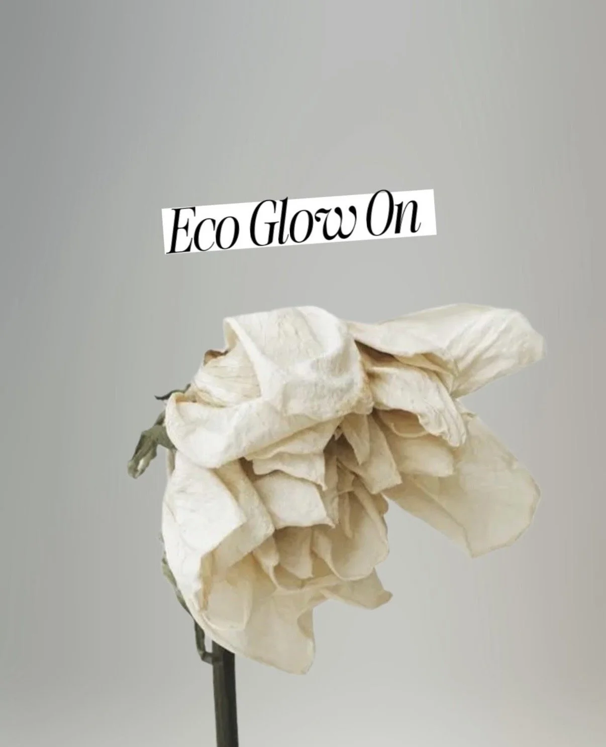 Eco Glow On &amp; Bio Skincare: Warum natürliche Hautpflege 2026 im Trend ist