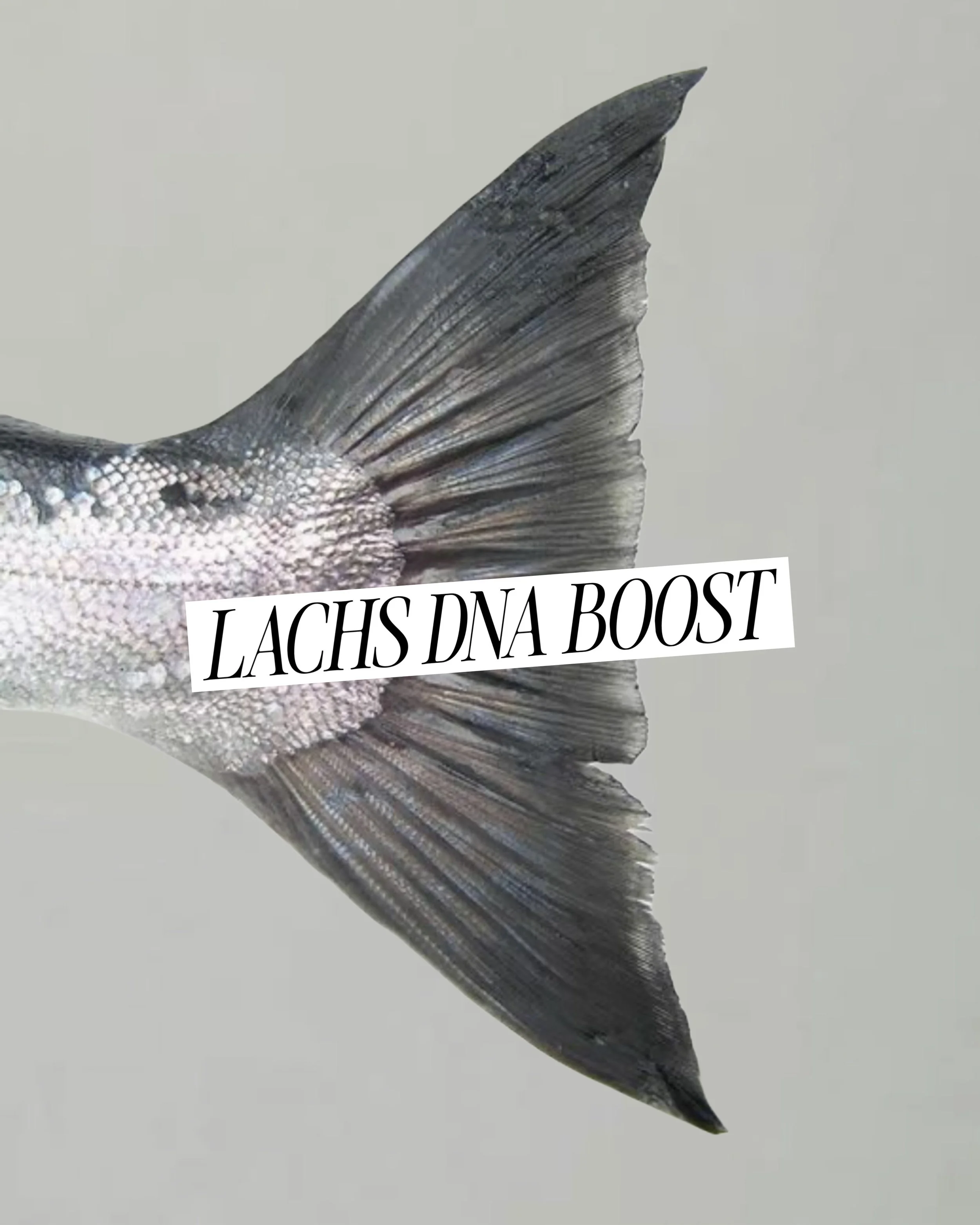 Microneedling mit Polynukleotiden in Hamburg: Hautregeneration &amp; Anti-Aging