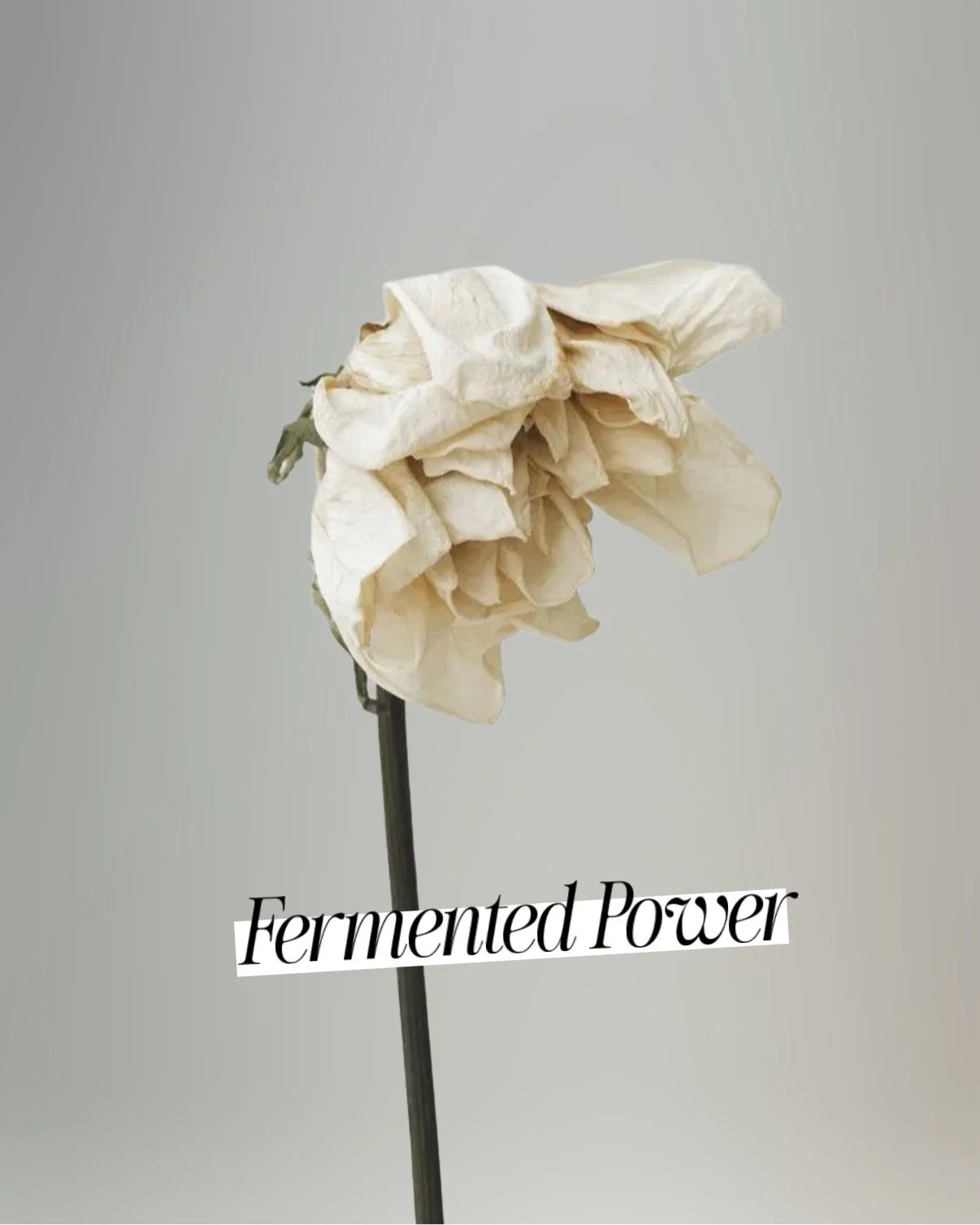 Fermented Power Facial