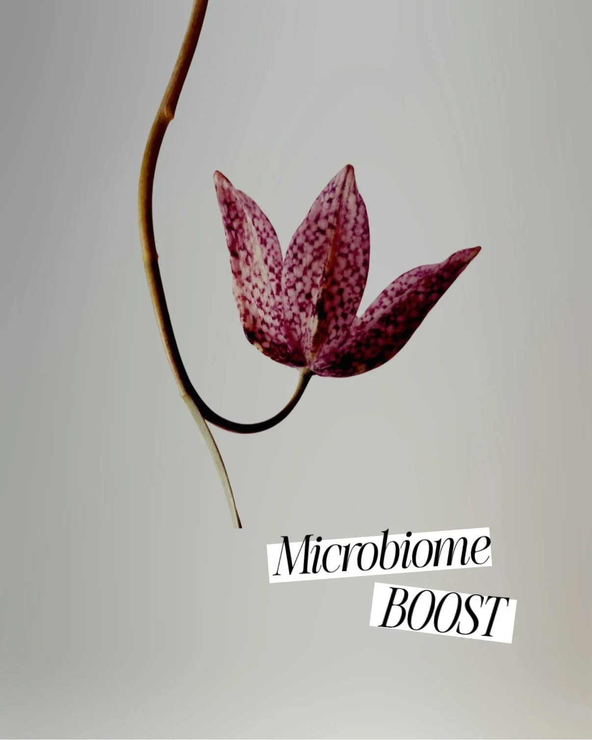 Microbiome Boost Facial