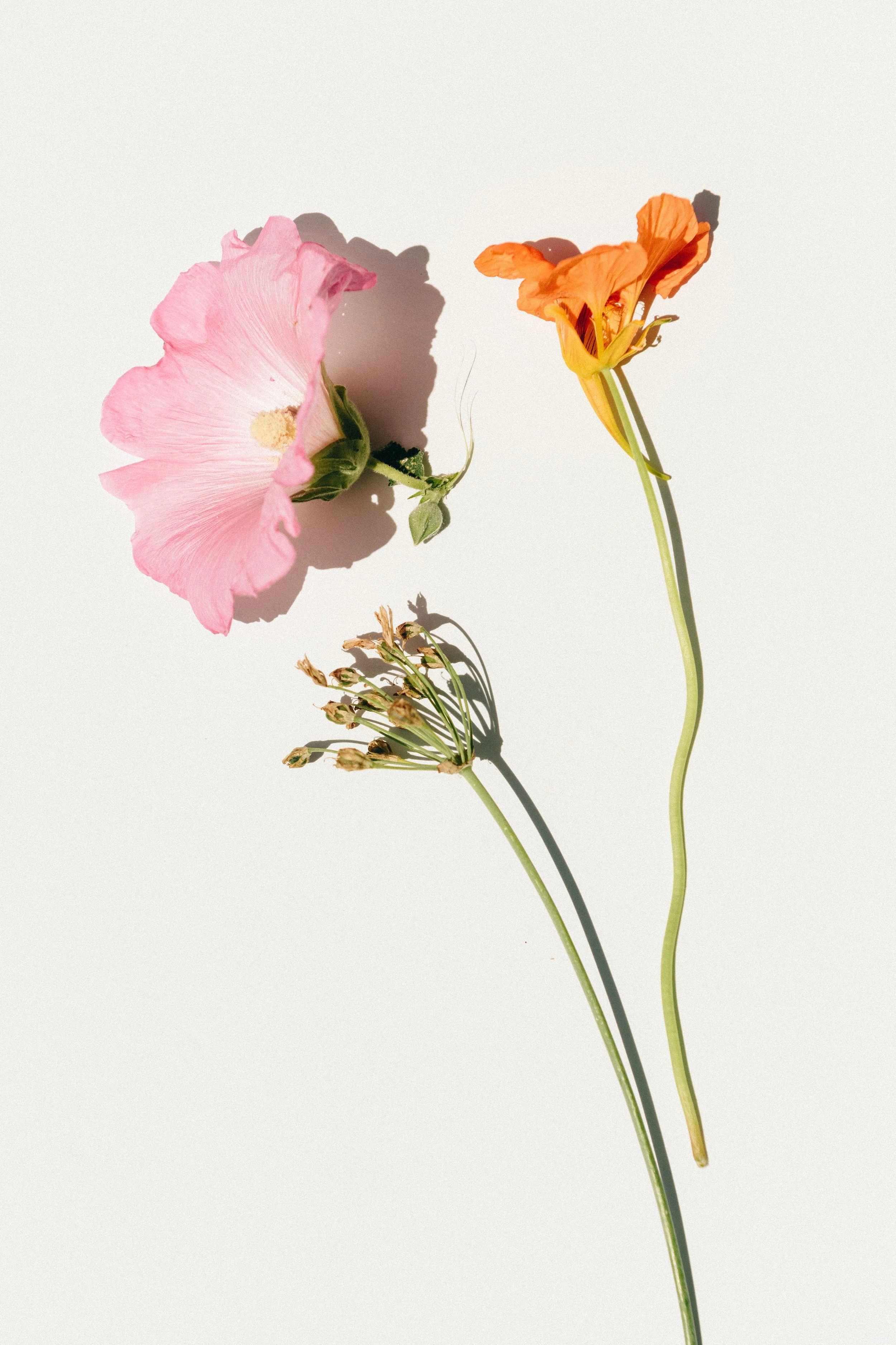 Muttertag: Warum ein besonderes Geschenk mehr bedeutet als Blumen