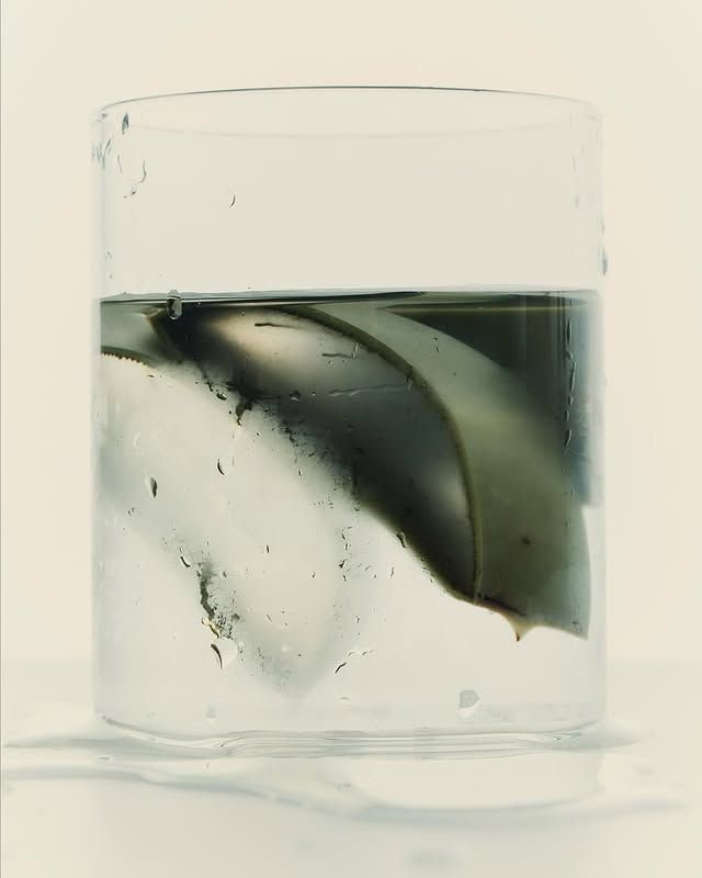 Die besten Supplements für strahlende, gesunde Haut im Sommer