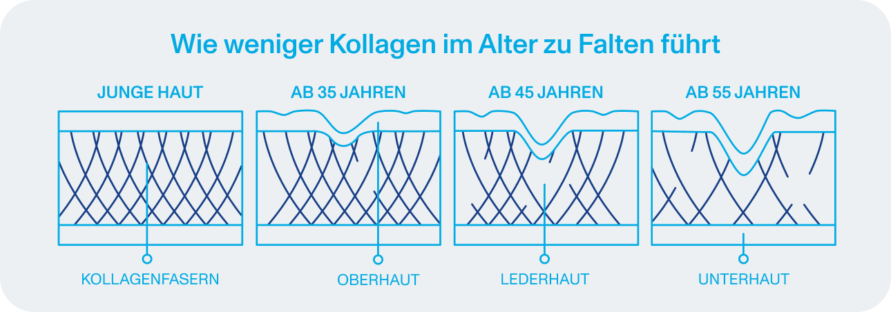 Das Bildbeispiel von Vital Proteins zeigt, wie ein sinkender Kollagenspiegel im Alter zu Falten, verminderter Hautelastizität und sichtbarer Hautalterung führt.