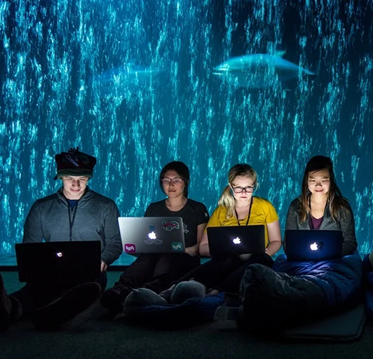 fishackathon.jpg