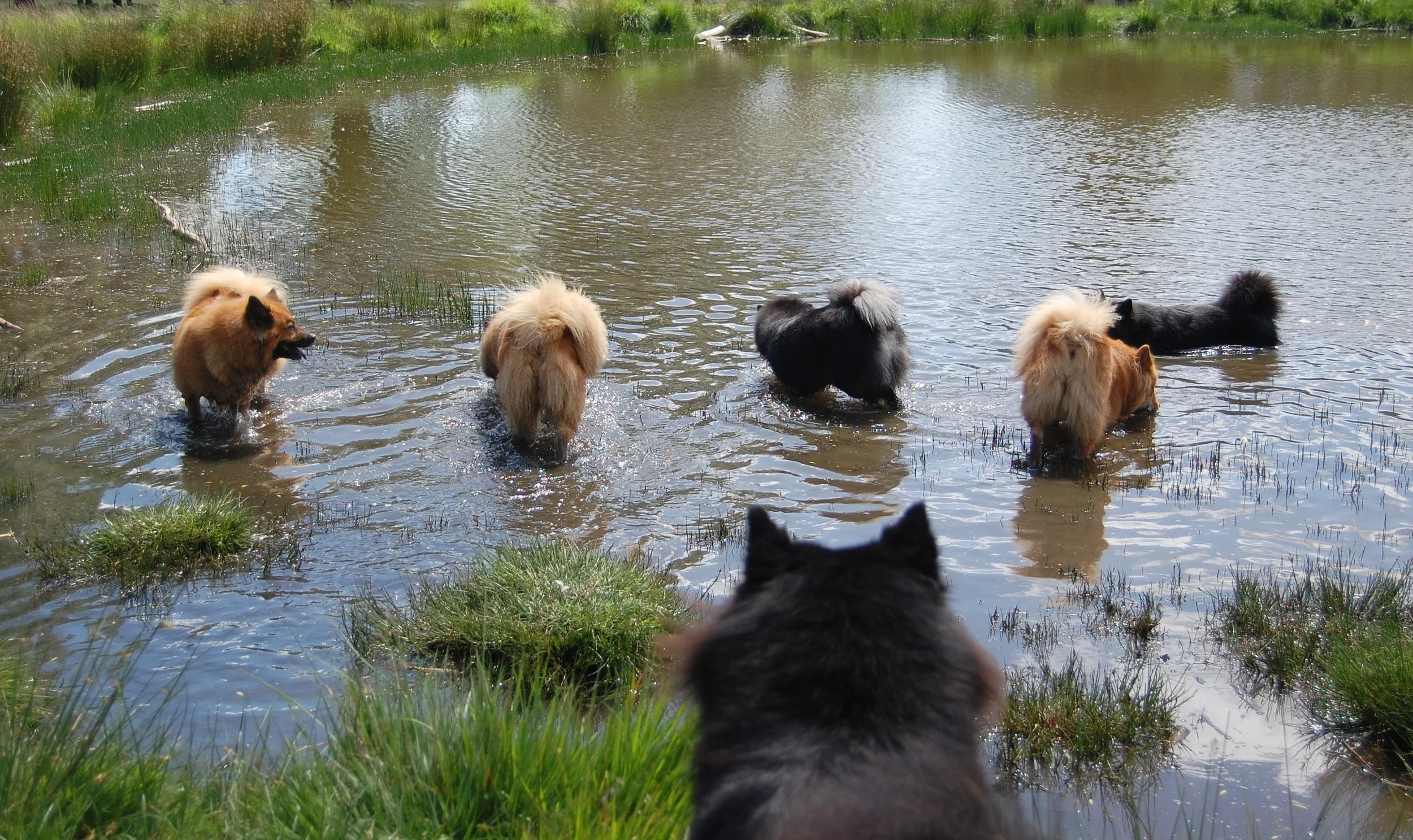 R Park Walk 0614_2869.JPG