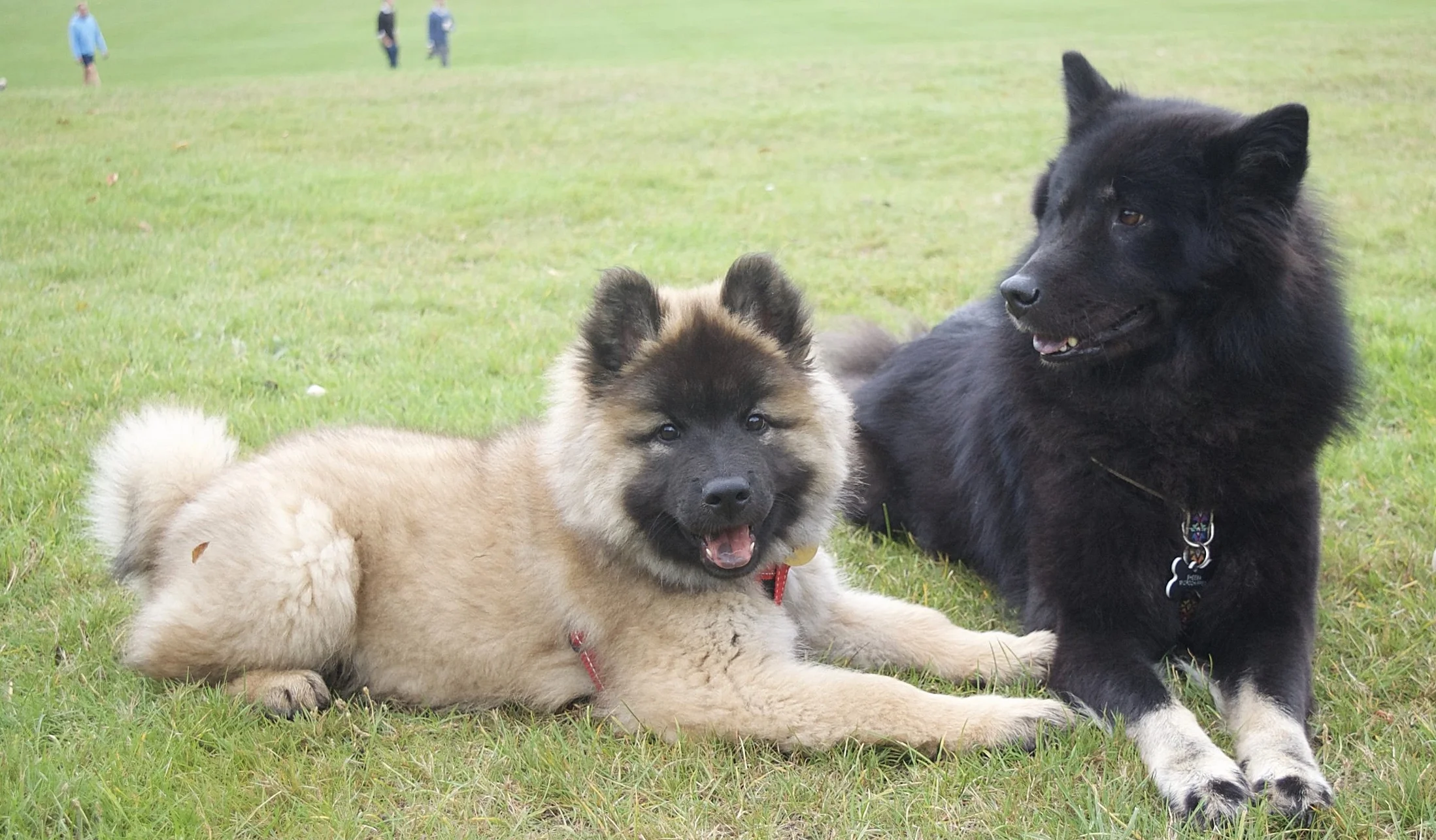 DSC_0035.jpg