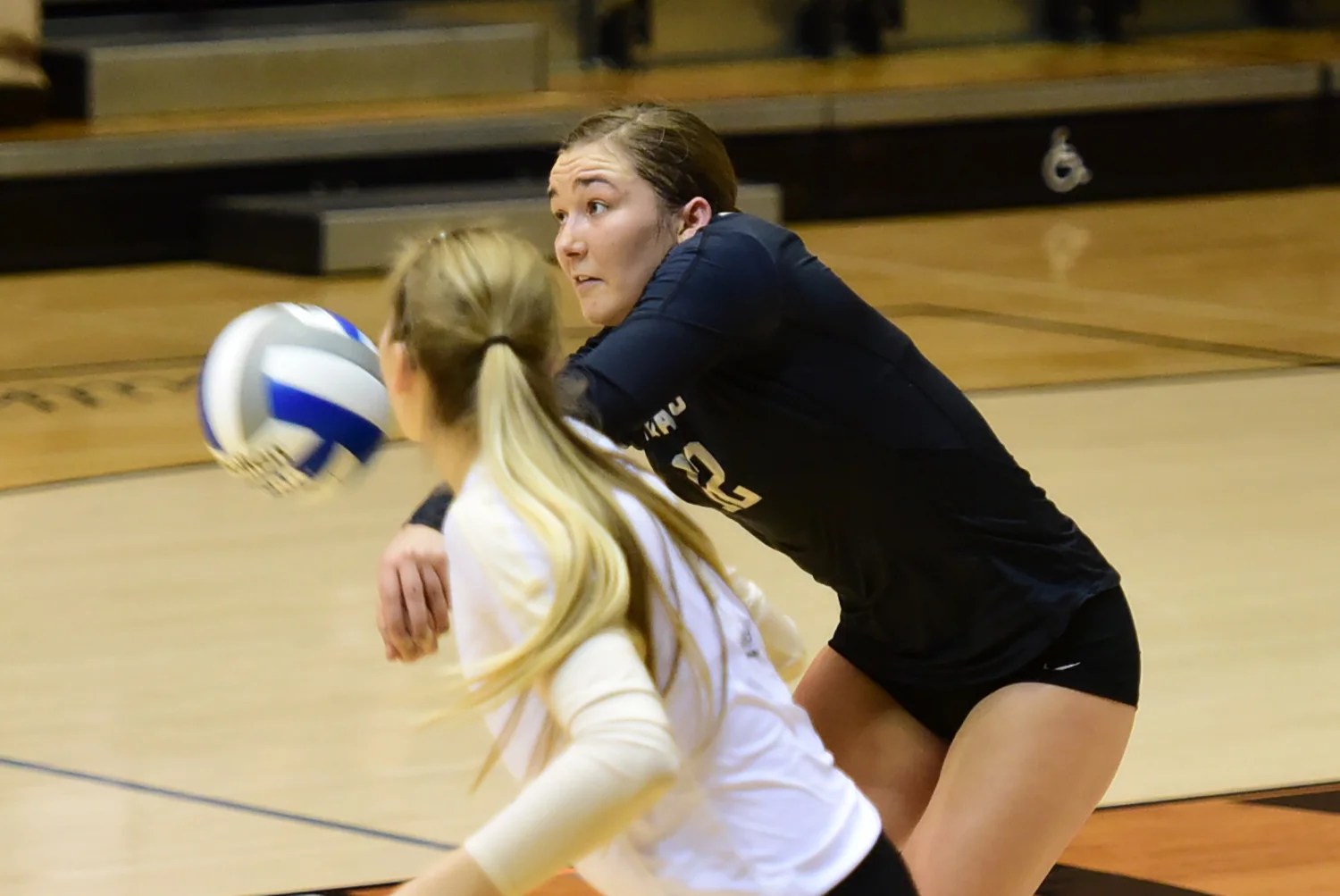 Elite Volleyball is a Service Provider for Volleyball Players...