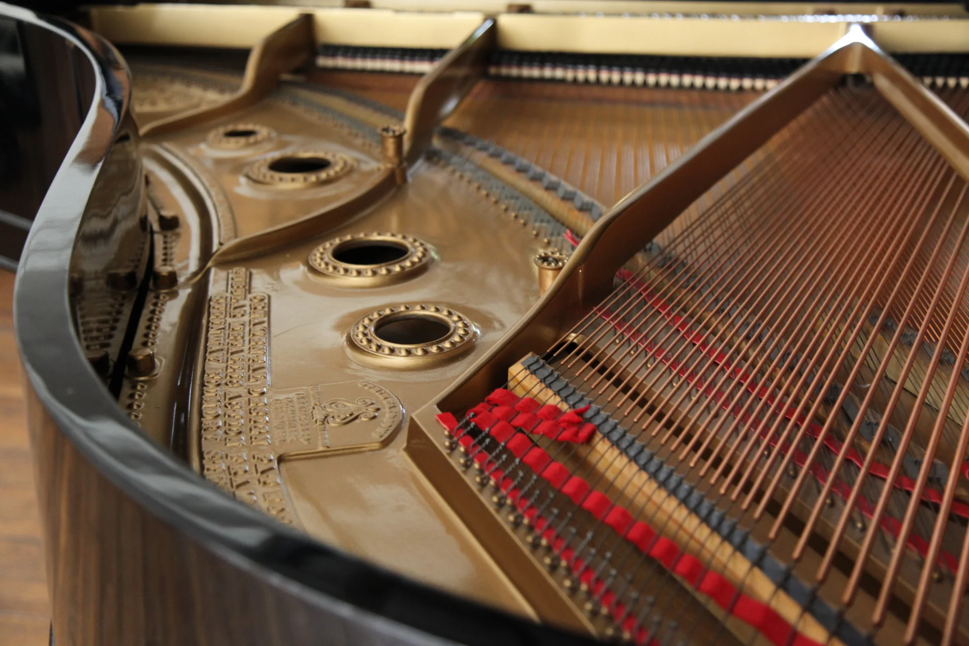 Club, Hotel or Salon Performance