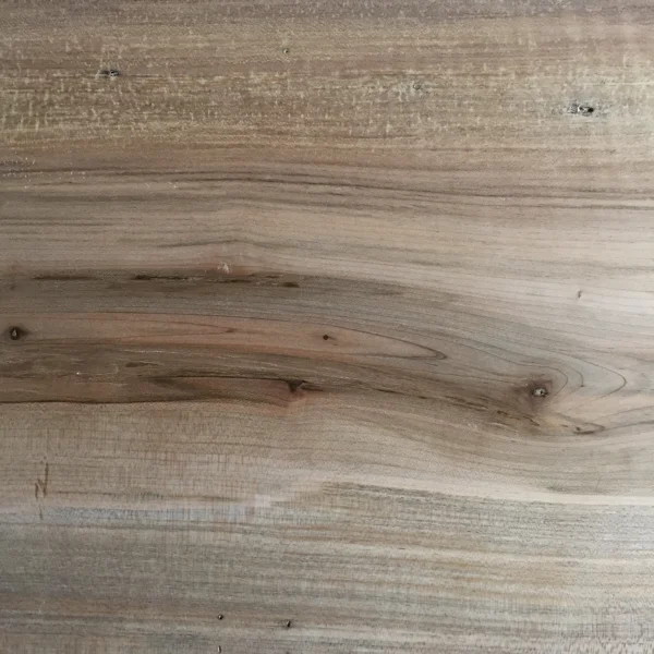  Ancient Spalted Maple 