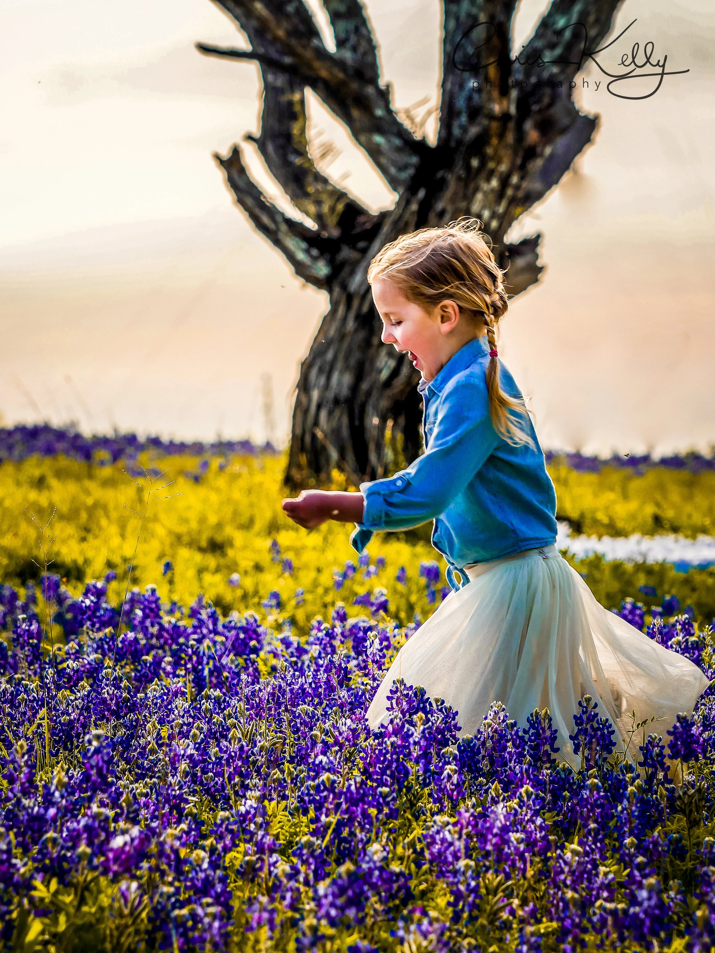 Bluebonnet-101.jpg