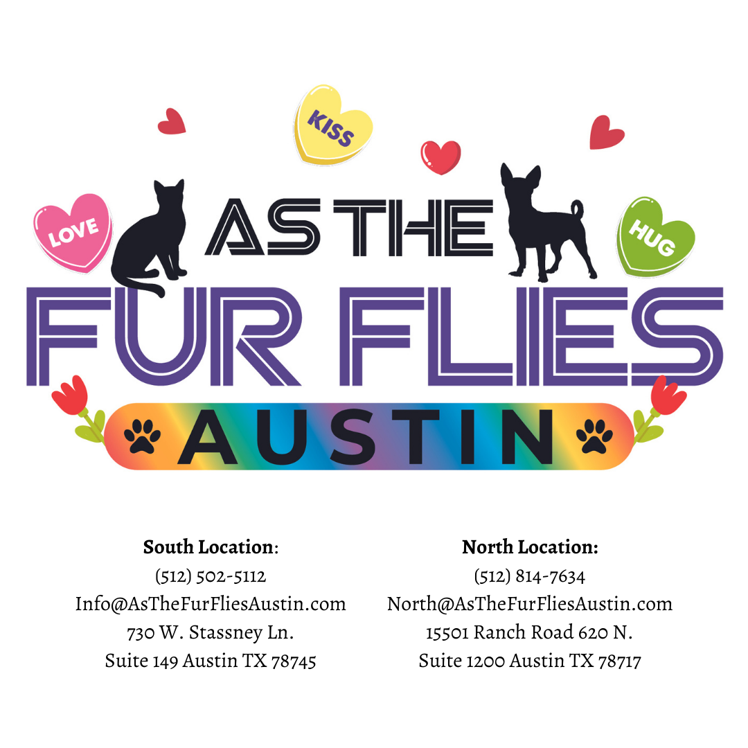 Dog Grooming & Cat Grooming in Austin TX As The Fur Flies Austin TX
