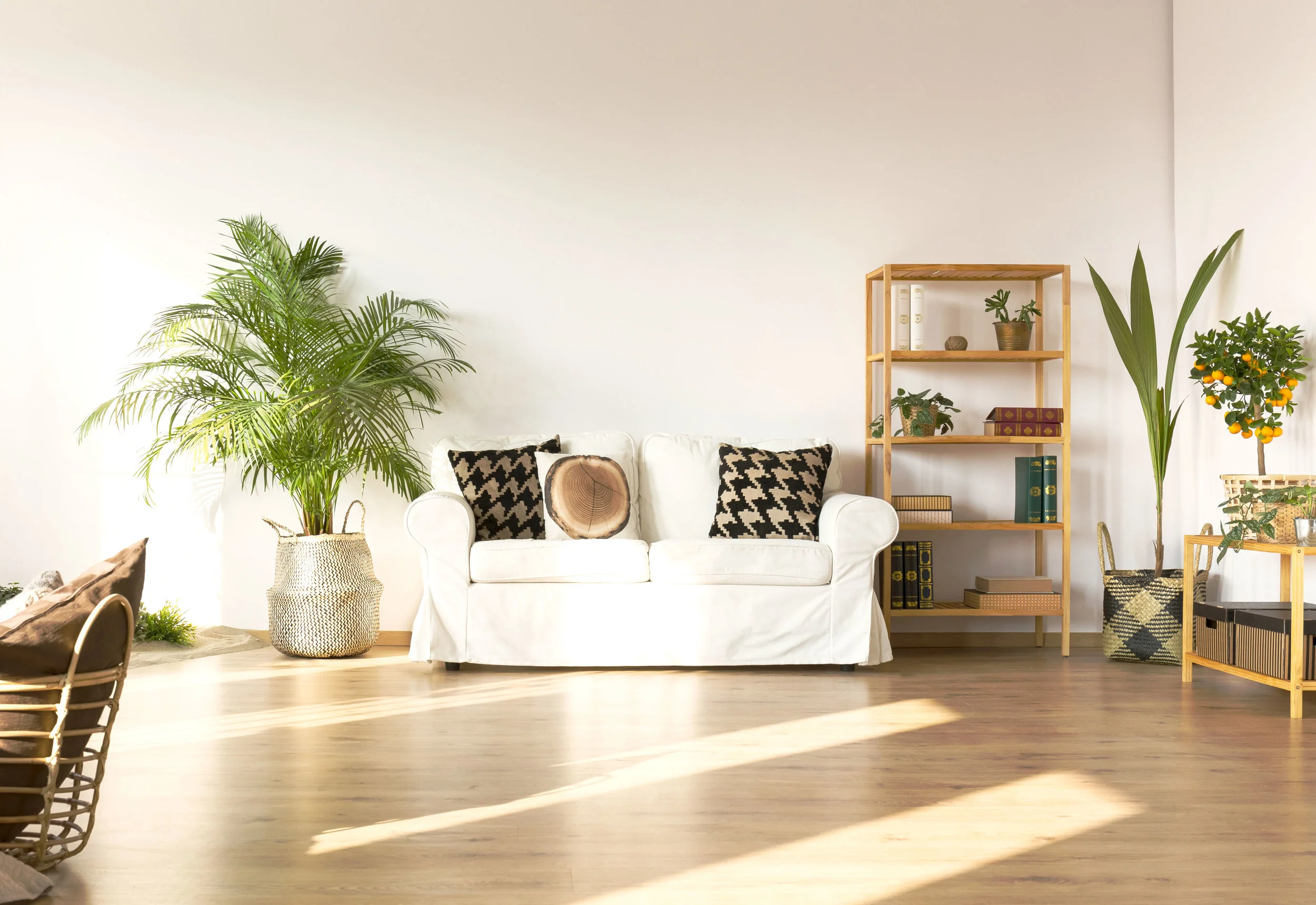 iStock-800385700_LR.jpg