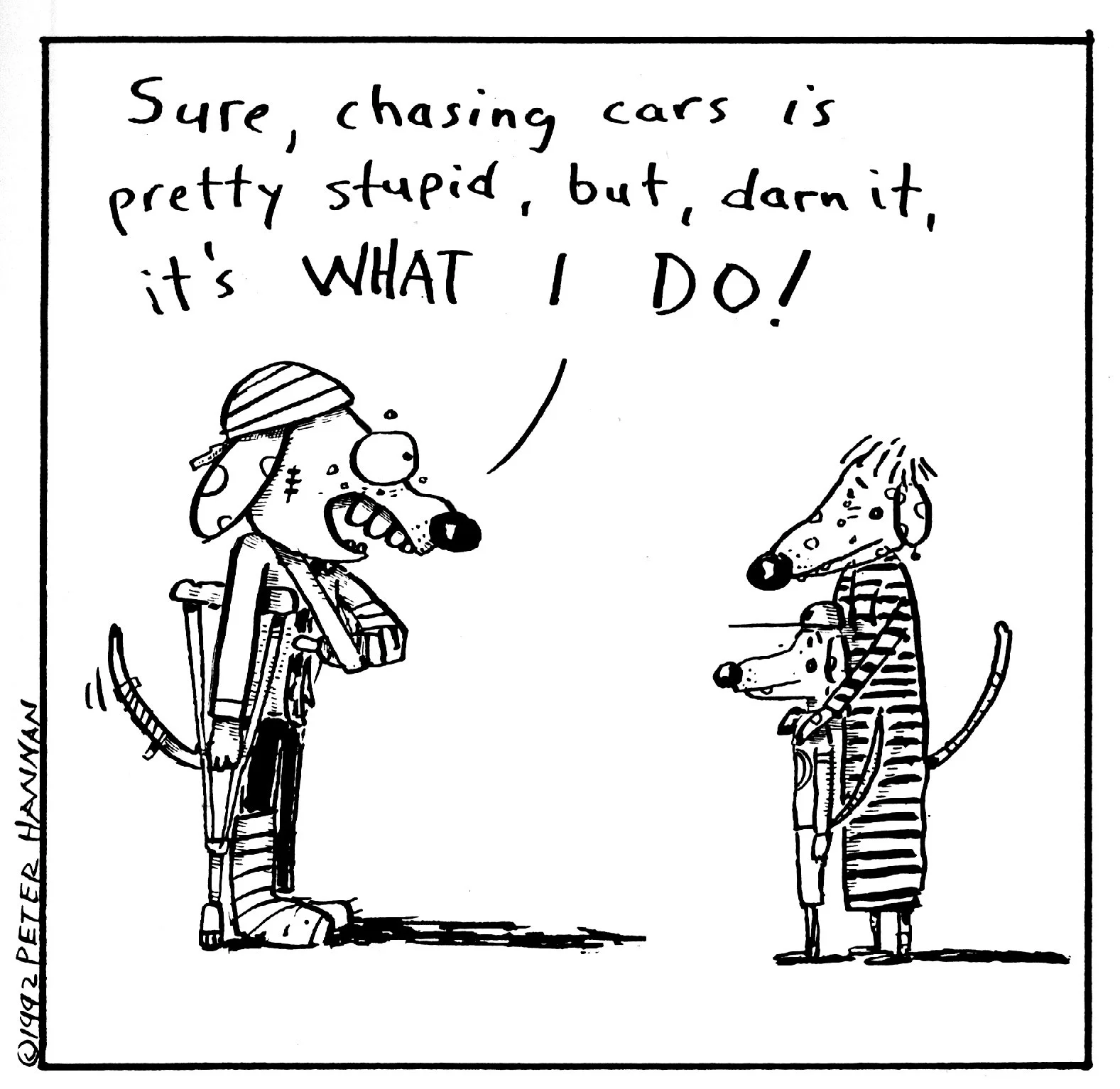 it's what dogs do!.jpg