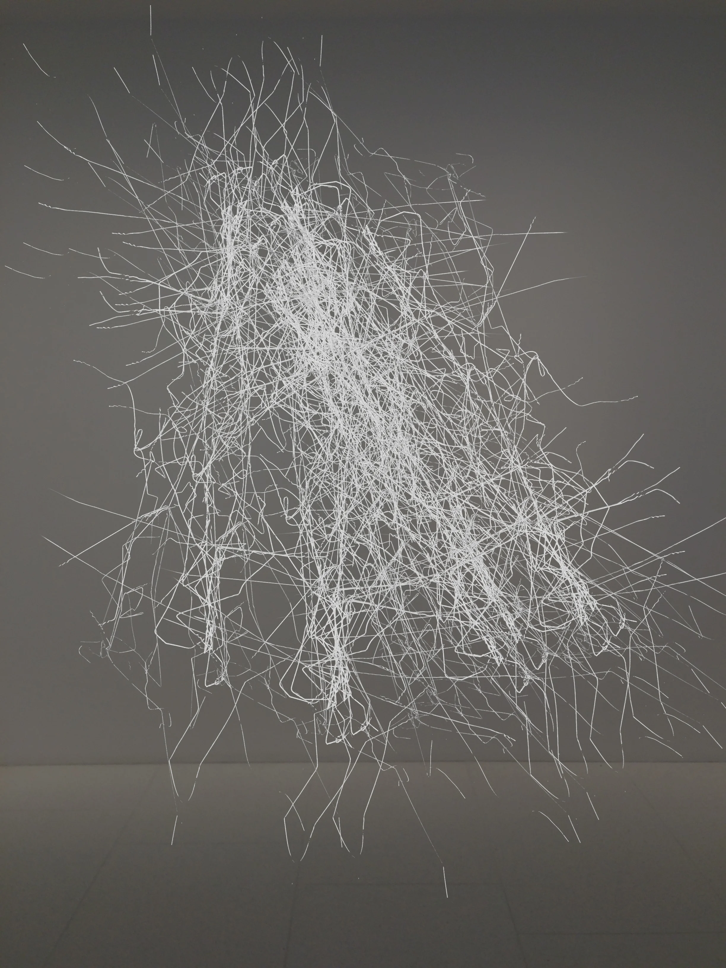 IMG_40éé478 - Copie.jpg