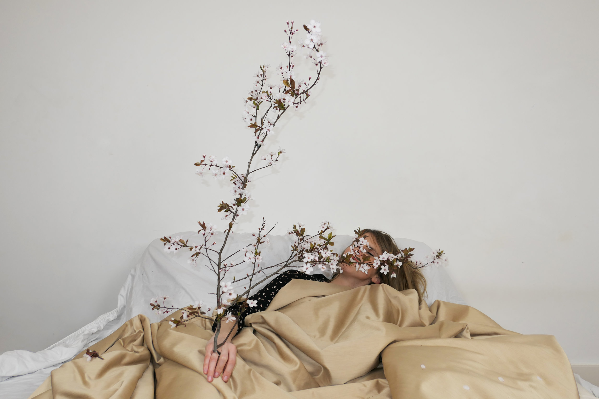 P1040676.jpgeclaircie.jpg branche okrecqdree.jpg