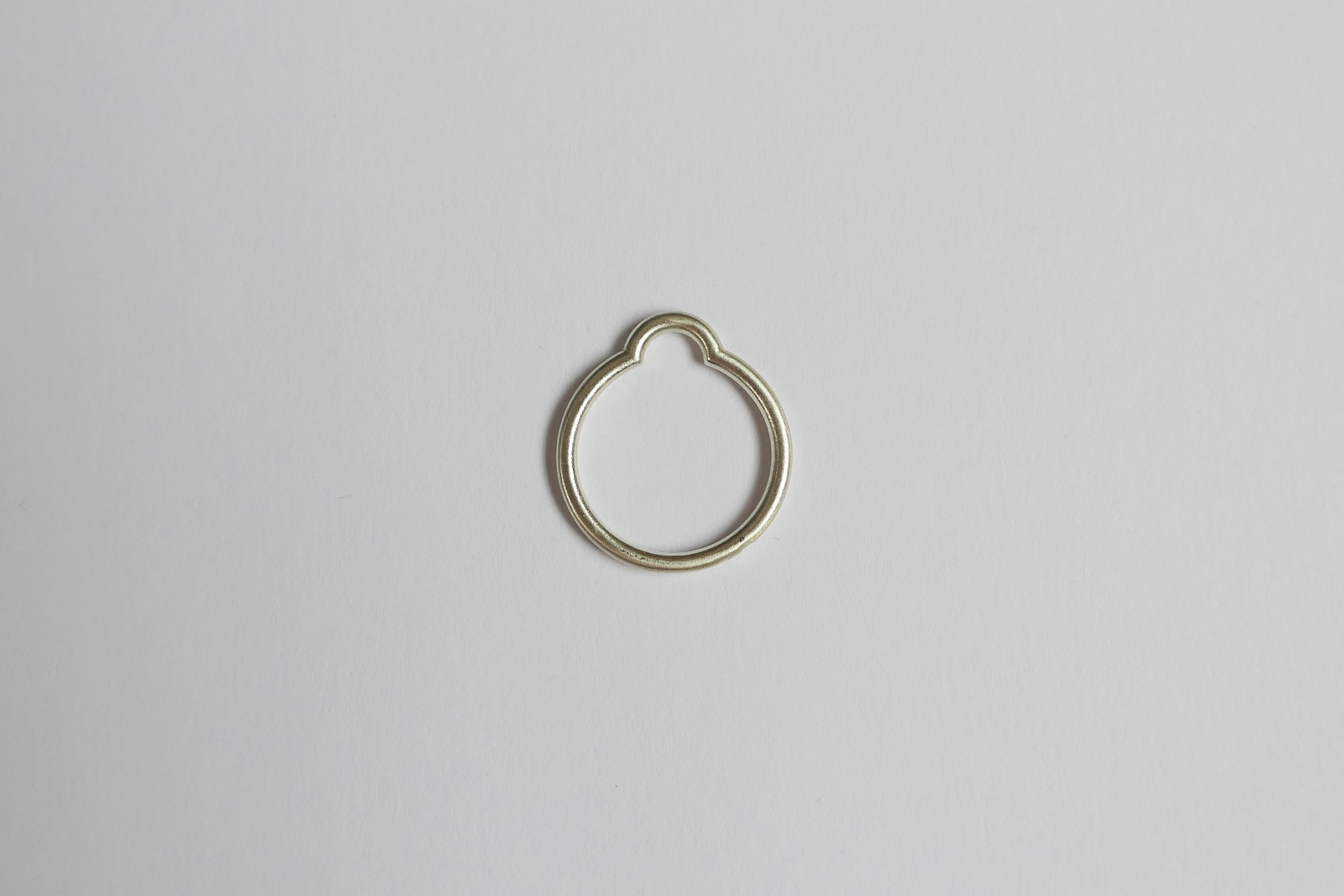 P1060075.jpg argent.jpg