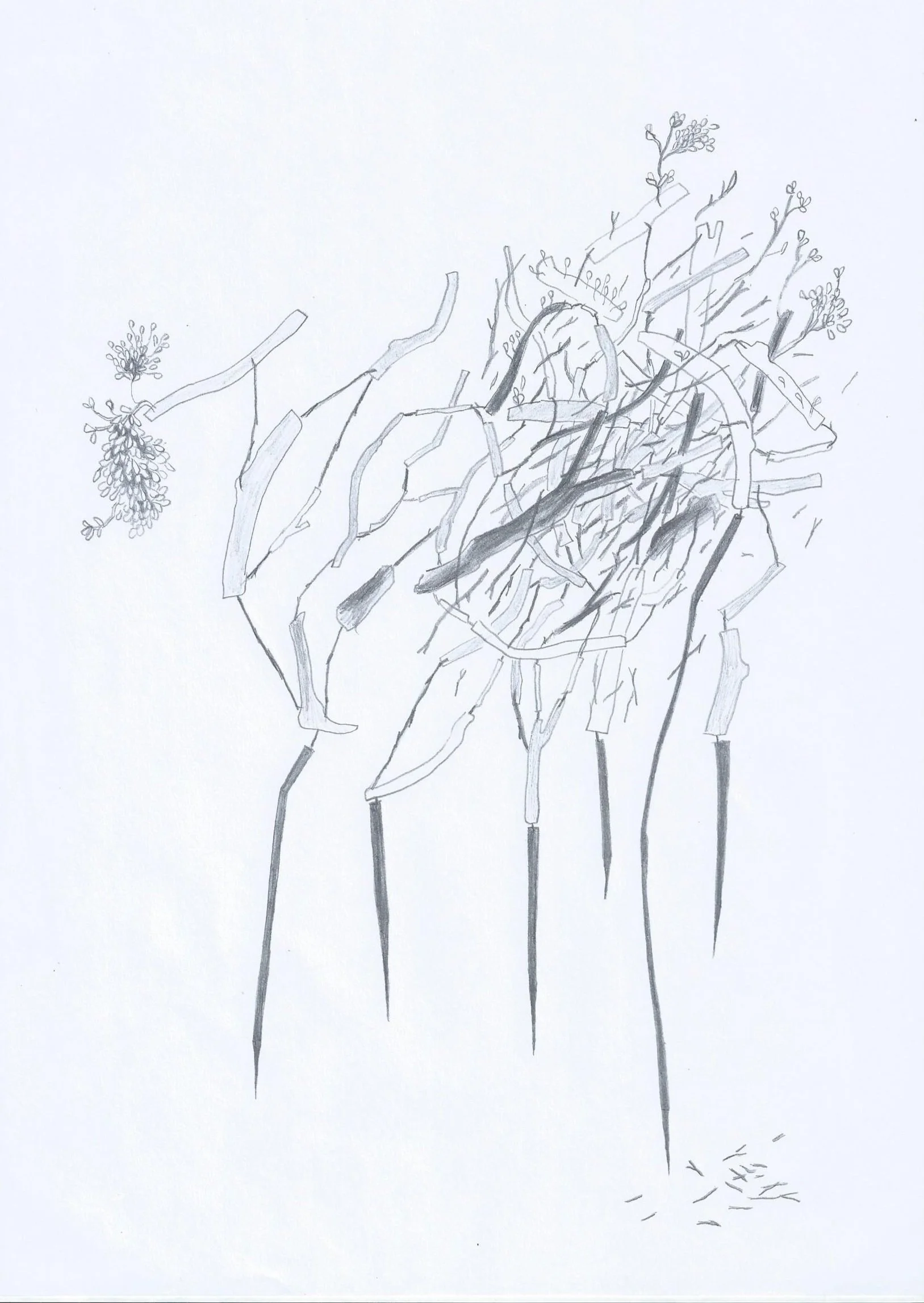 Preparatorydrawing.jpg