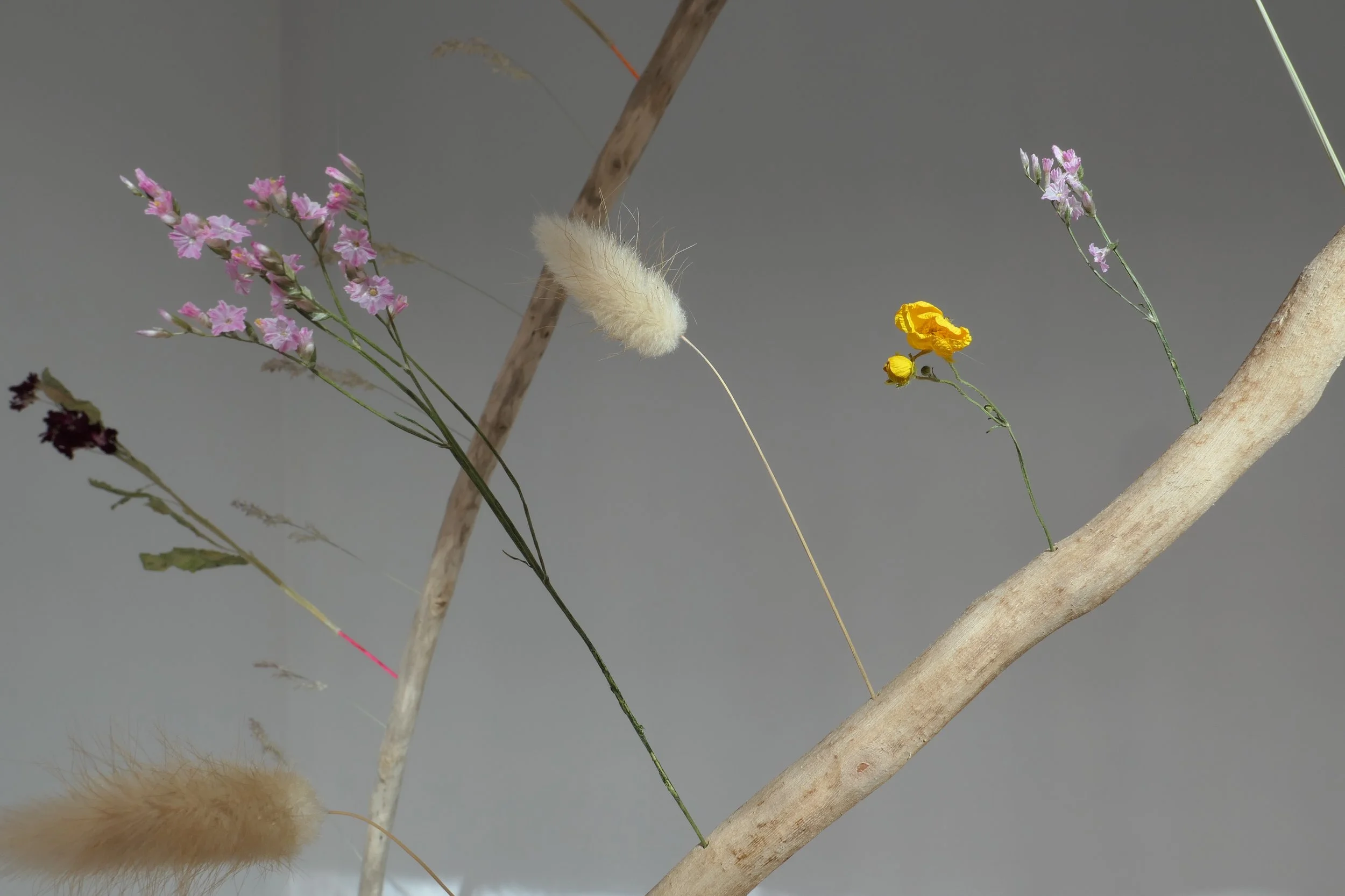 Butterblume and Rabbit tale.JPG