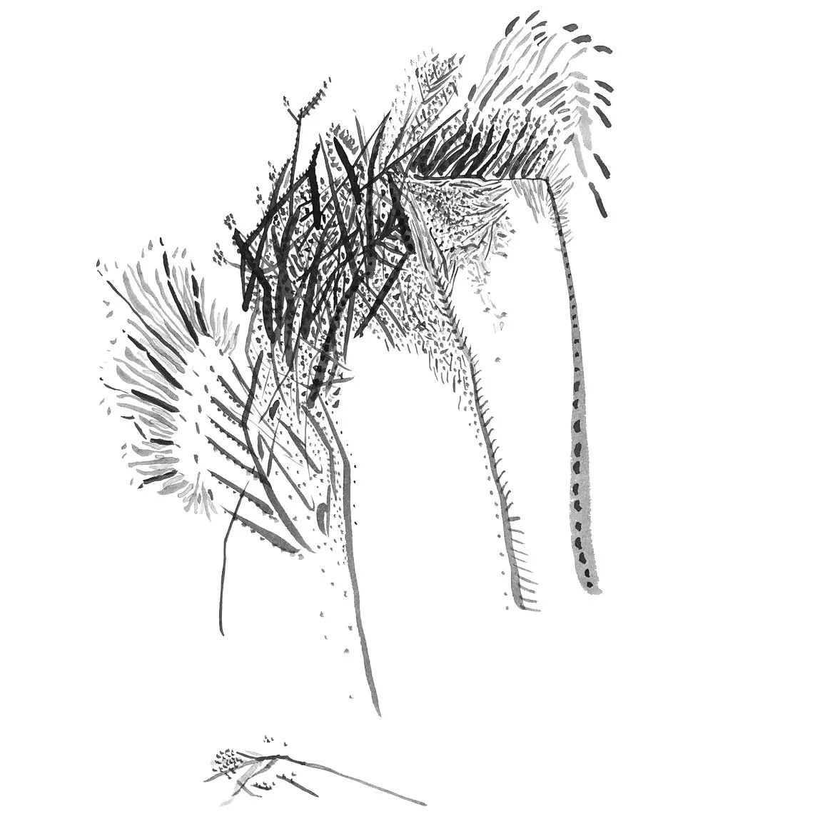 image0+%281%29.jpg