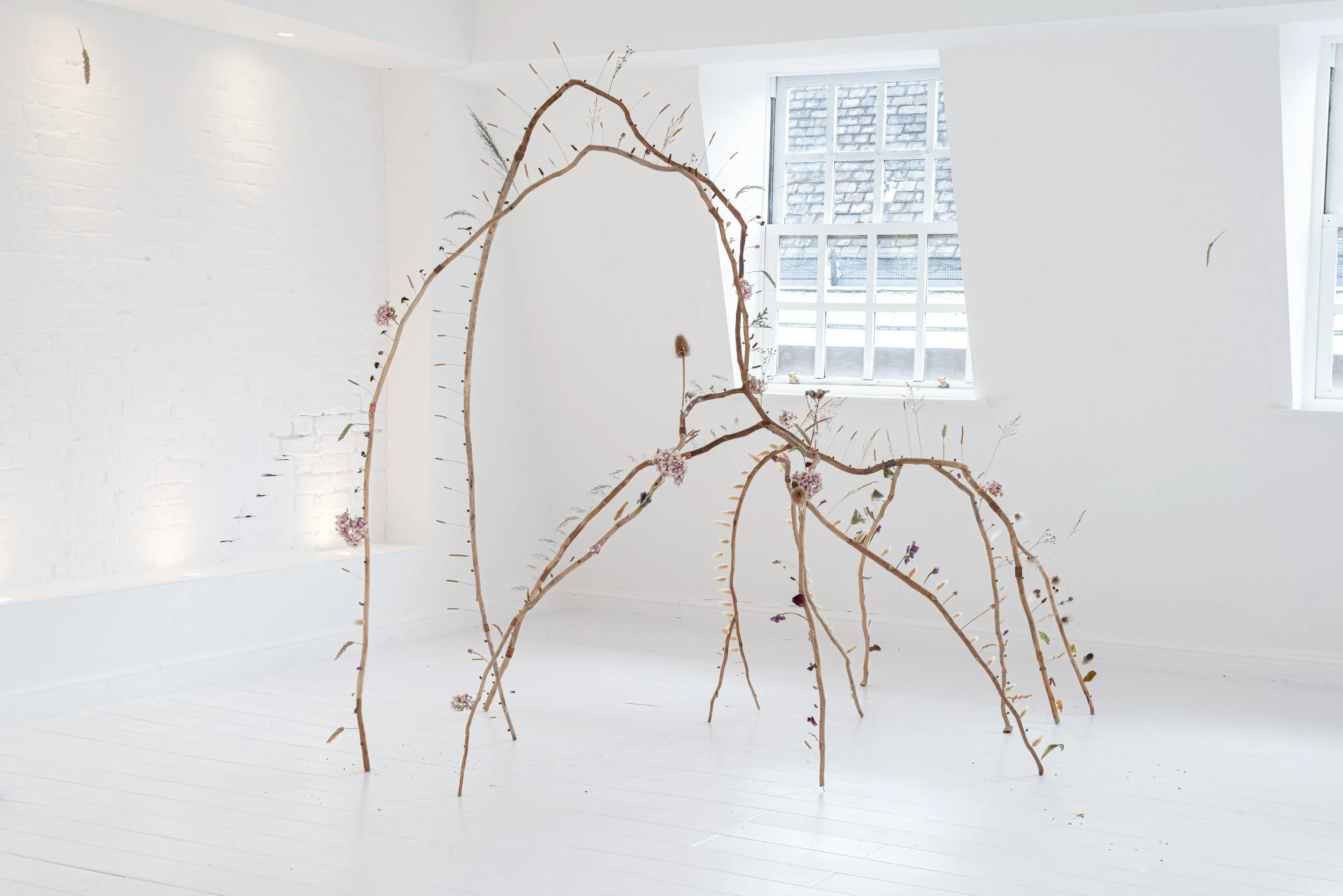 WARBLING_7_ image credit @studioadamson.jpeg