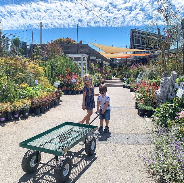 Shopping for our new garden with the very best helpers 🌻