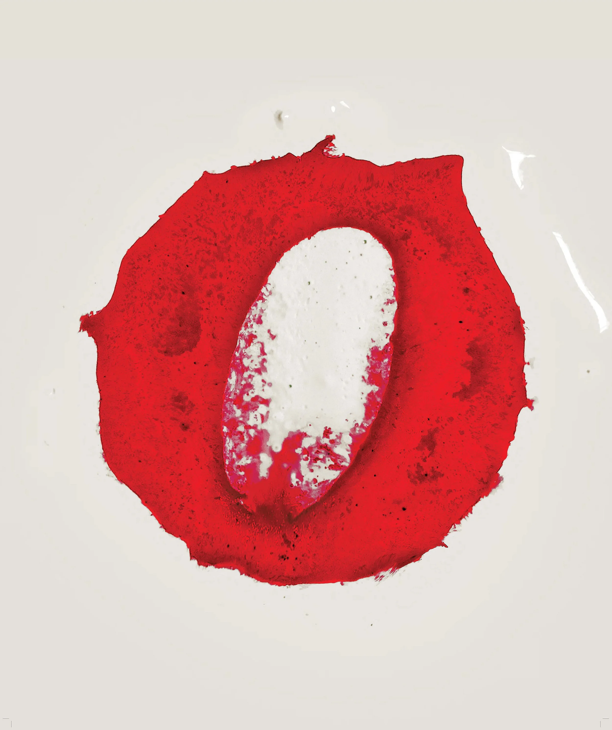 Bonjour novembre et à tous les amateurs de théâtre et de danse!