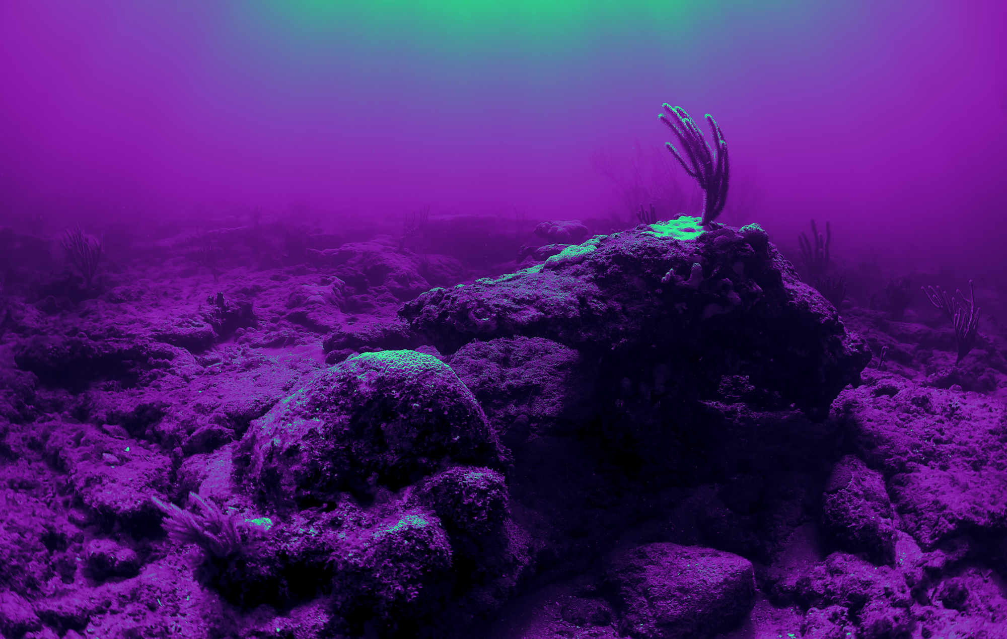 undercurrents revient pour une 9e édition de théâtre hors norme