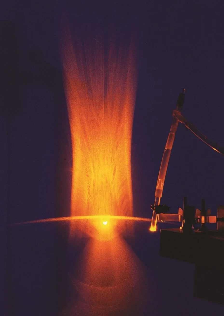 Nos incontournables du 9 au 15 avril