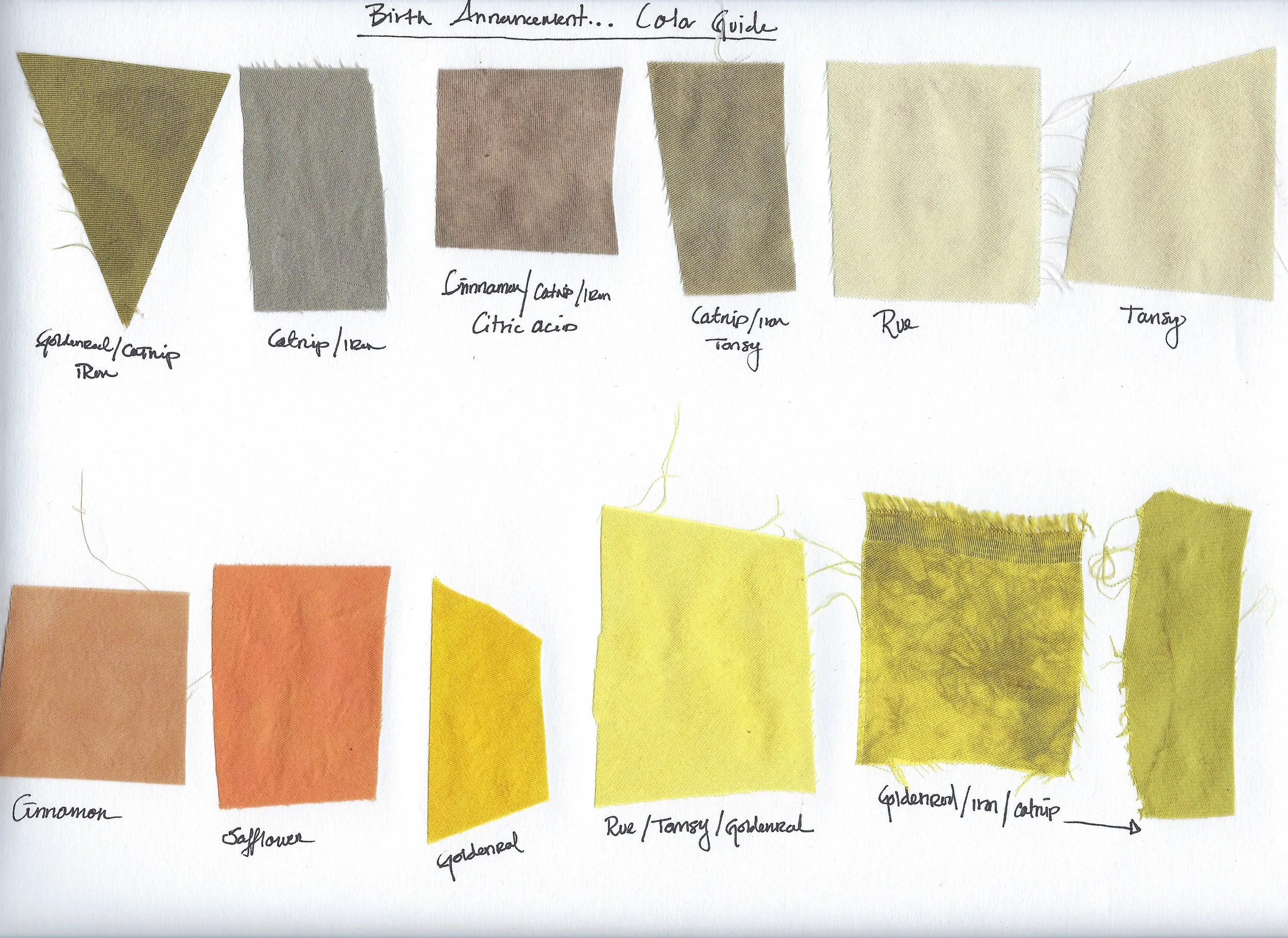 Birth Announcement For Those Who Will And Will Never Be