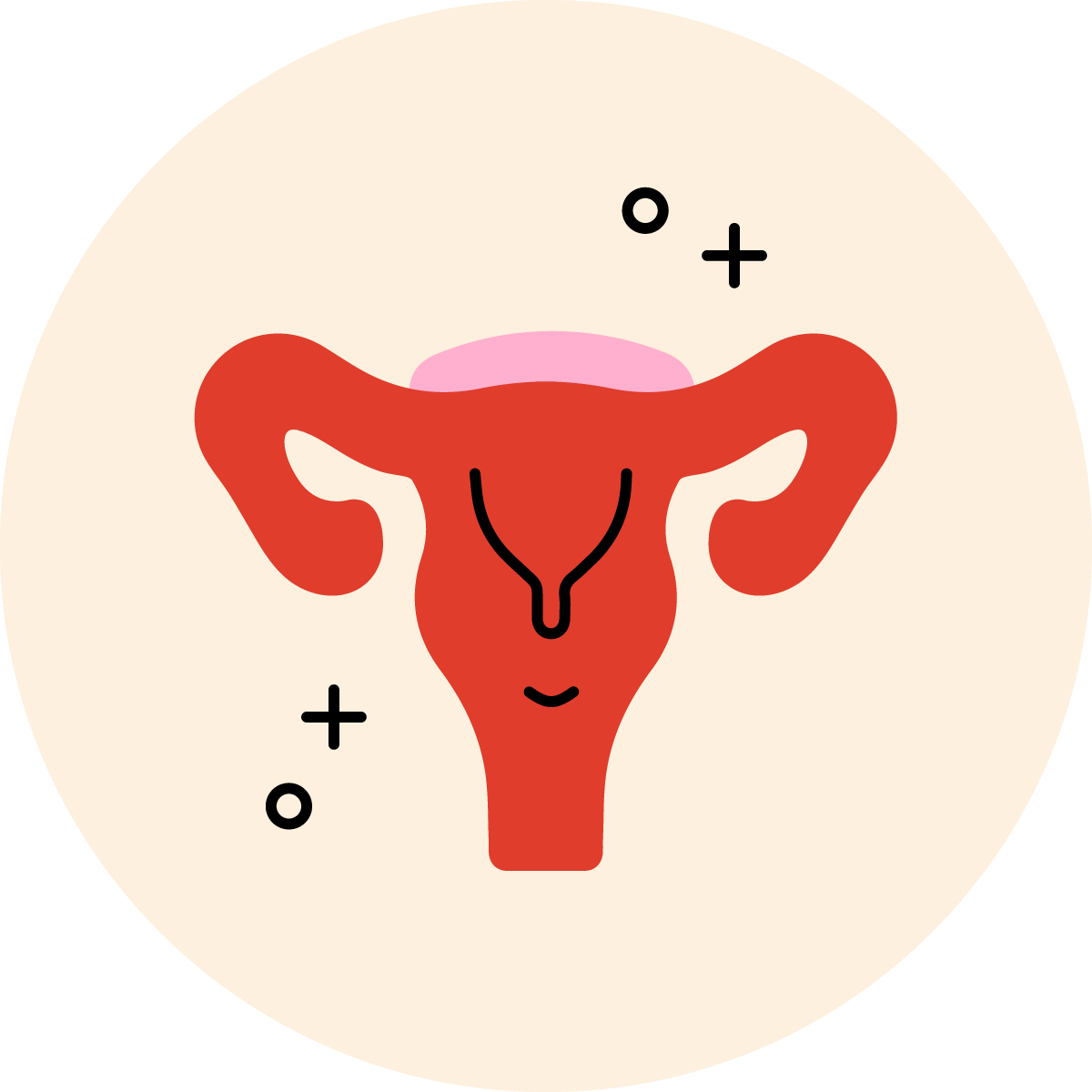 A simplified illustration of a uterus, representing reproductive health.