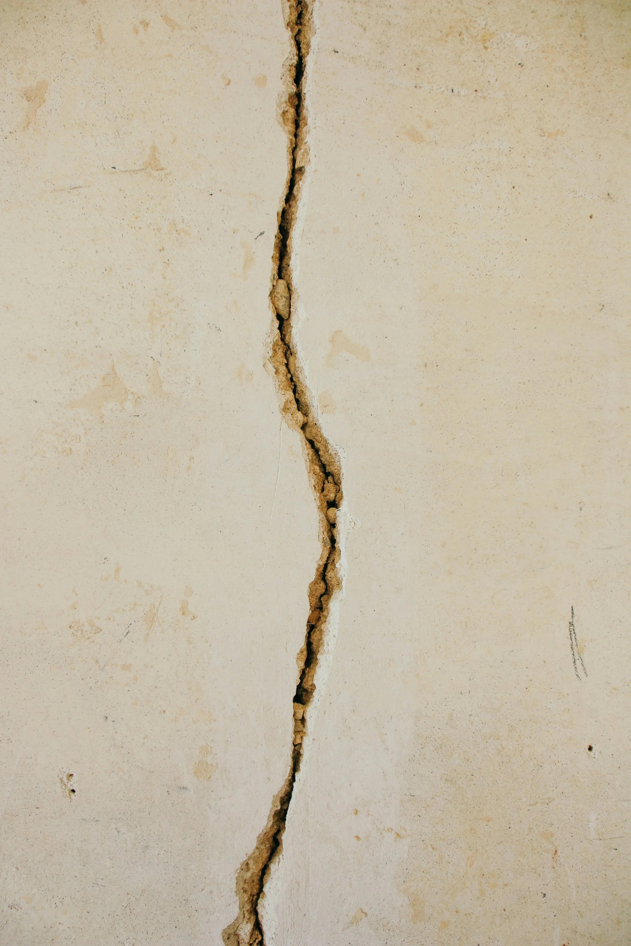 A complicated procedure; A simple decision — A Poem by Maya Lewis