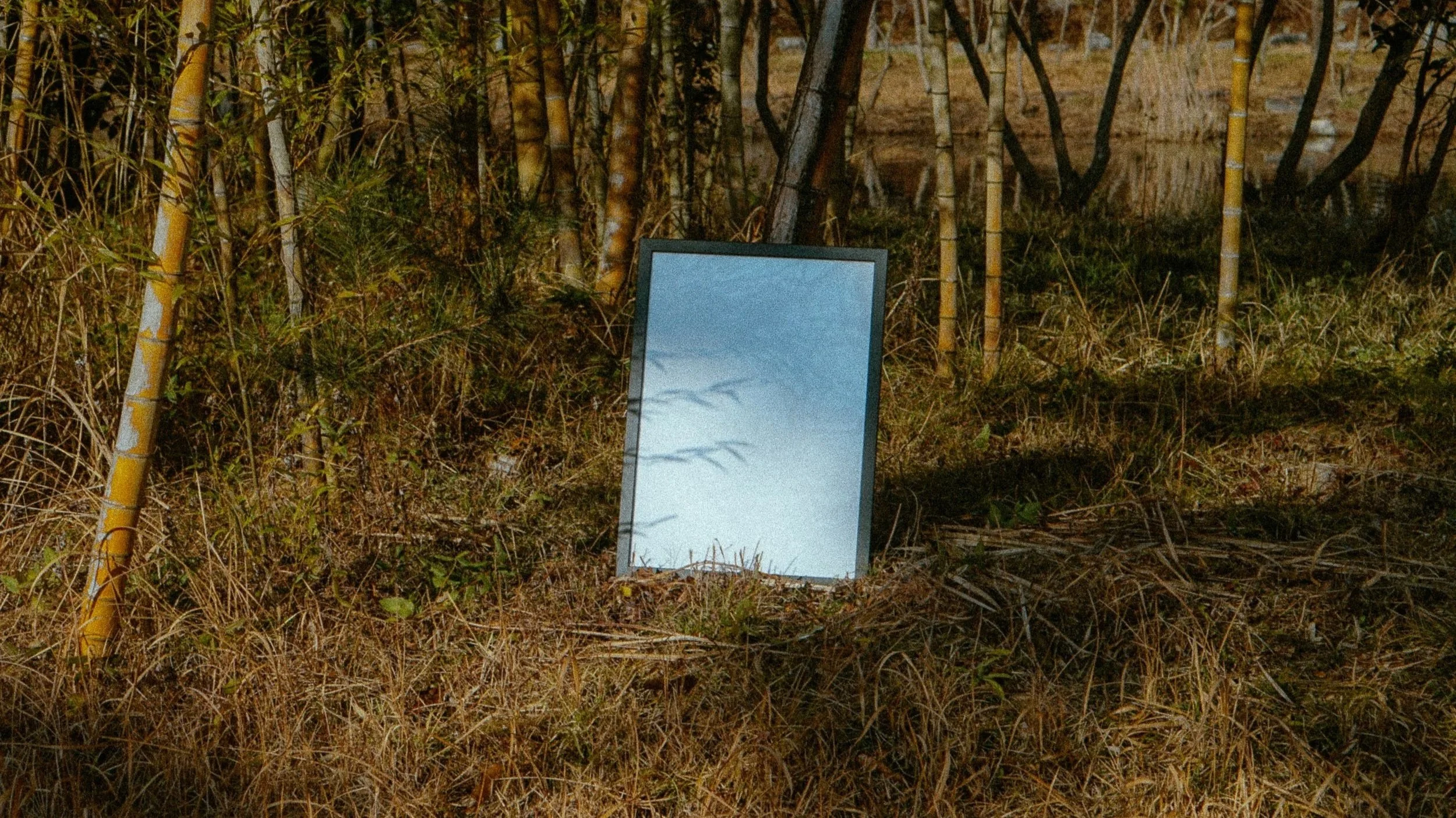 Healing is a Choice — An Essay on Taking Ownership of Personal Growth