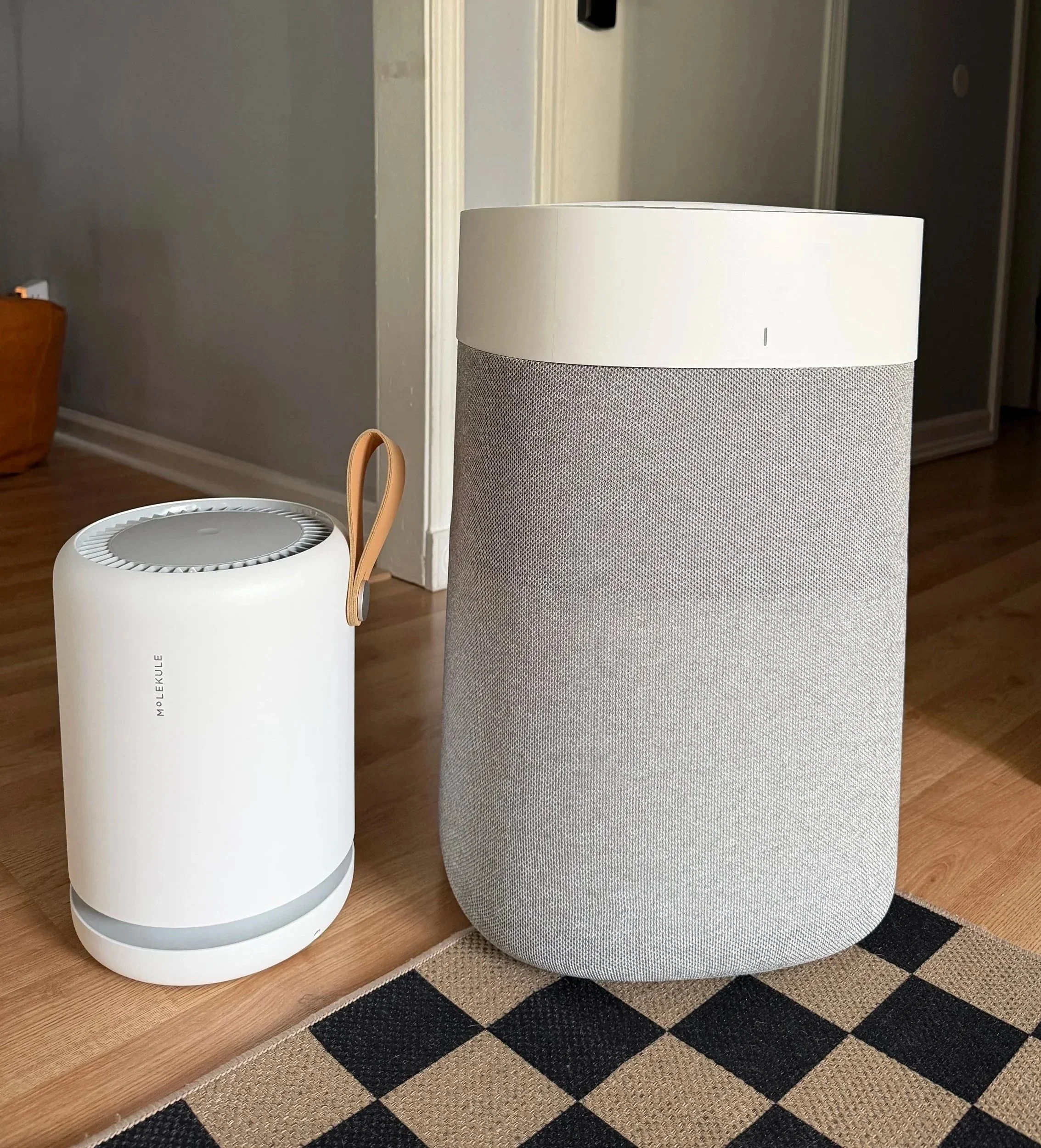 Two modern air purifiers sit on a hardwood floor near a doorway, with a leafy houseplant in the background.