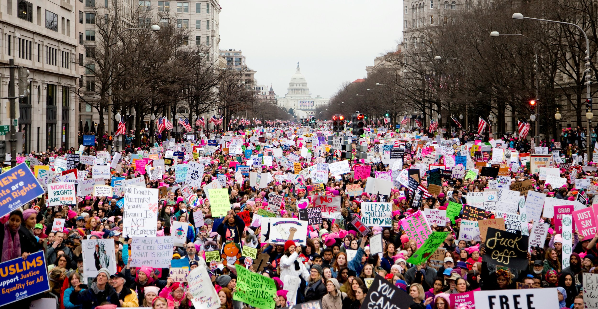 A large crowd of protestors holding signs in washington, DC