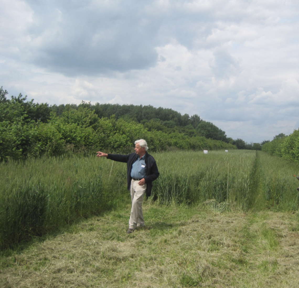 Prof. Martin Wolfe - Wakelyns Research Centre