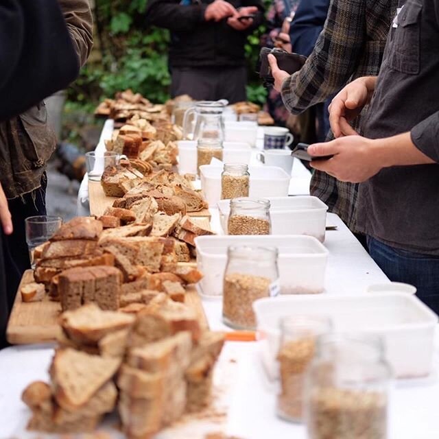 #Repost @farmerama_radio
・・・
The South-West Grains Network is a grassroots collaboration between farmers, millers and bakers who are coming together to rebuild their local grain economy from the ground up, in a way that works for all of them &ndash; 