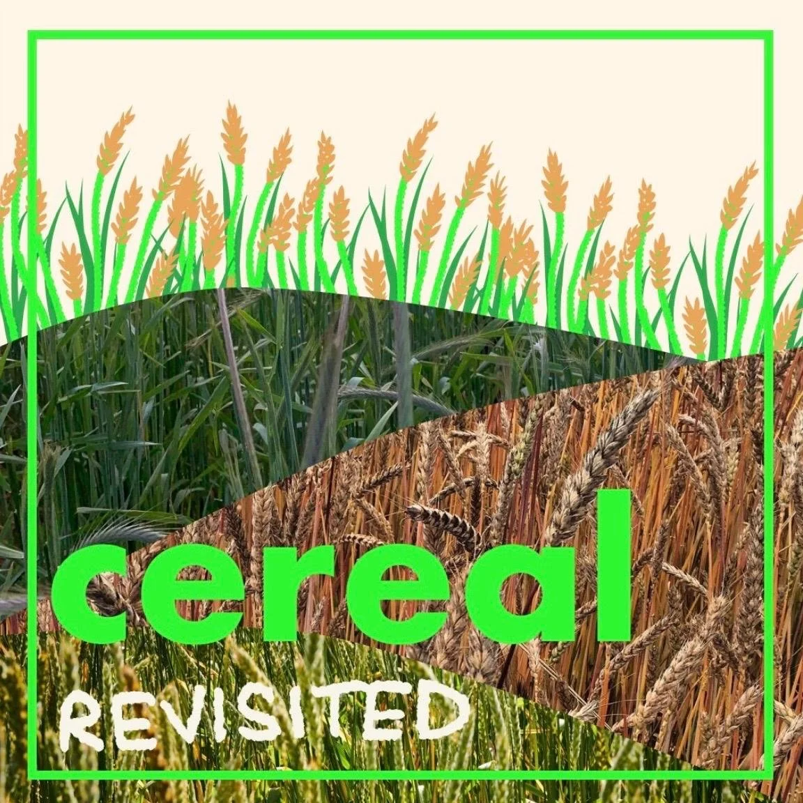 Cereal Revisited 